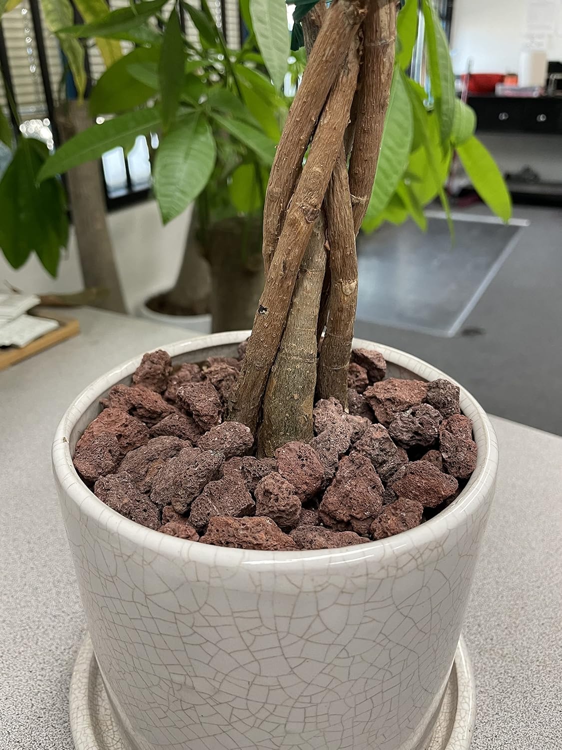 KAYSO INC Lava Rocks - Decorative Landscaping Rocks or Gas Fire Pits Rocks, 3/4" (.75") (40 Lbs, Red Lava Rock)