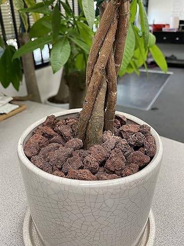 Miniatura 3 de KAYSO INC - Rocas de lava decorativas para paisajismo o pozos de gas, 34 pulgadas (.75 pulgadas) (40 libras, roca de lava roja)