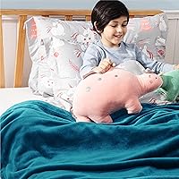 Vista 308 de Bedsure - Manta de vellón, tamaño queen, suave, ligera, afelpada, mullida, acogedora, de microfibra de lujo, color rosa, 90 x 90 pulgadas