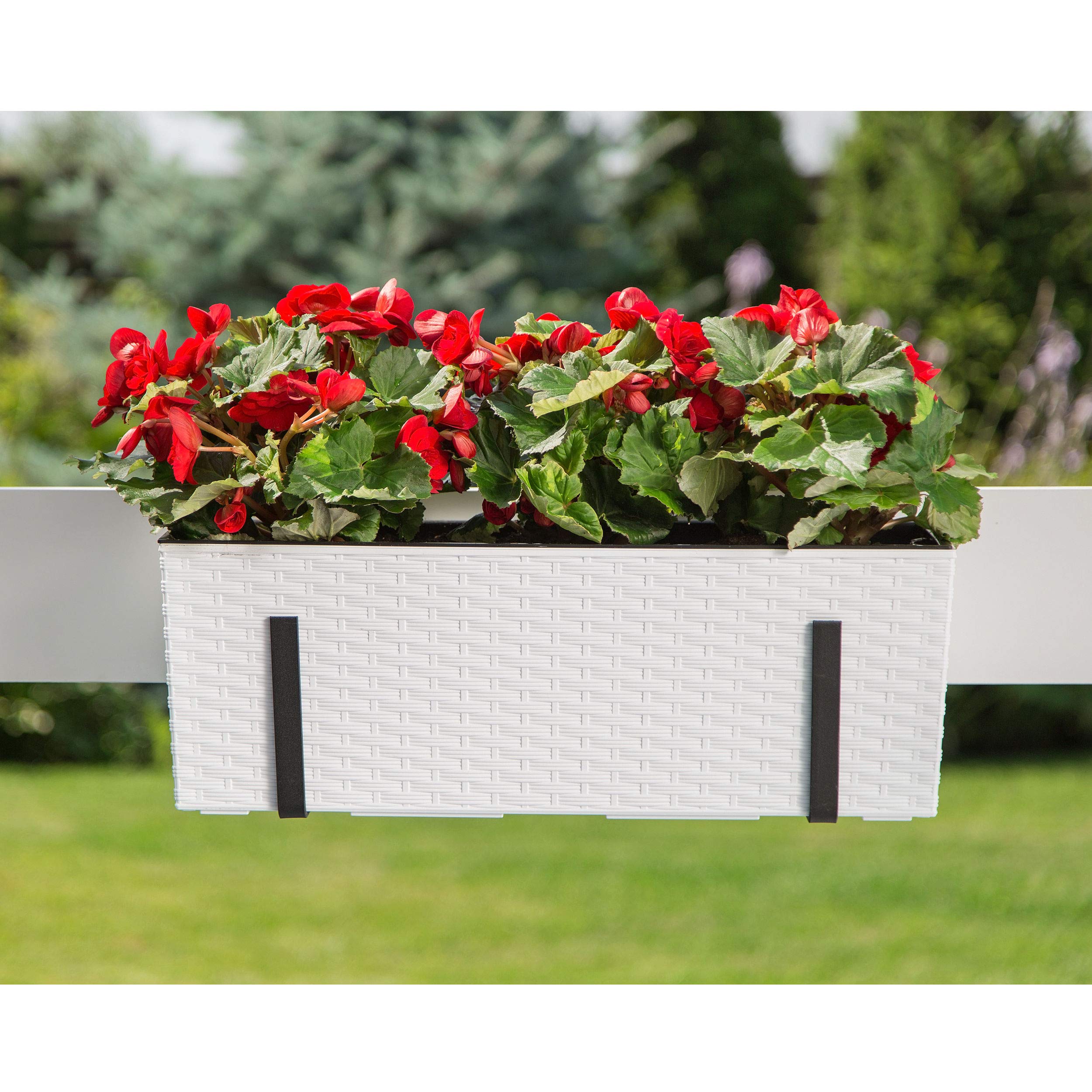 botle 2 Stück Blumenkasten Balkonkasten Geländerkasten Blumentopf Balkontopf Halterung Metall Weiß Glanz 56 x15x19 cm Blumenkasten