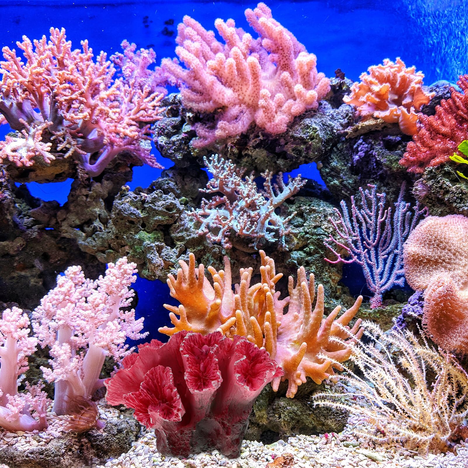 Gatuida Künstliche Korallen für Aquarium: Künstliche Korallenpflanze Aquarium Pflanzen Künstlich Dekorationen Koralle Deko Zubehör für Betta, Landschaft