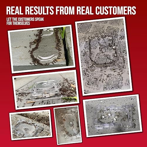 Miniatura 9 de Catchmaster DEFIANT - Asesino líquido de alta calidad, suministro de 1 año, mata a la reina y la colonia, botella de precisión sin ensuciar, trampas