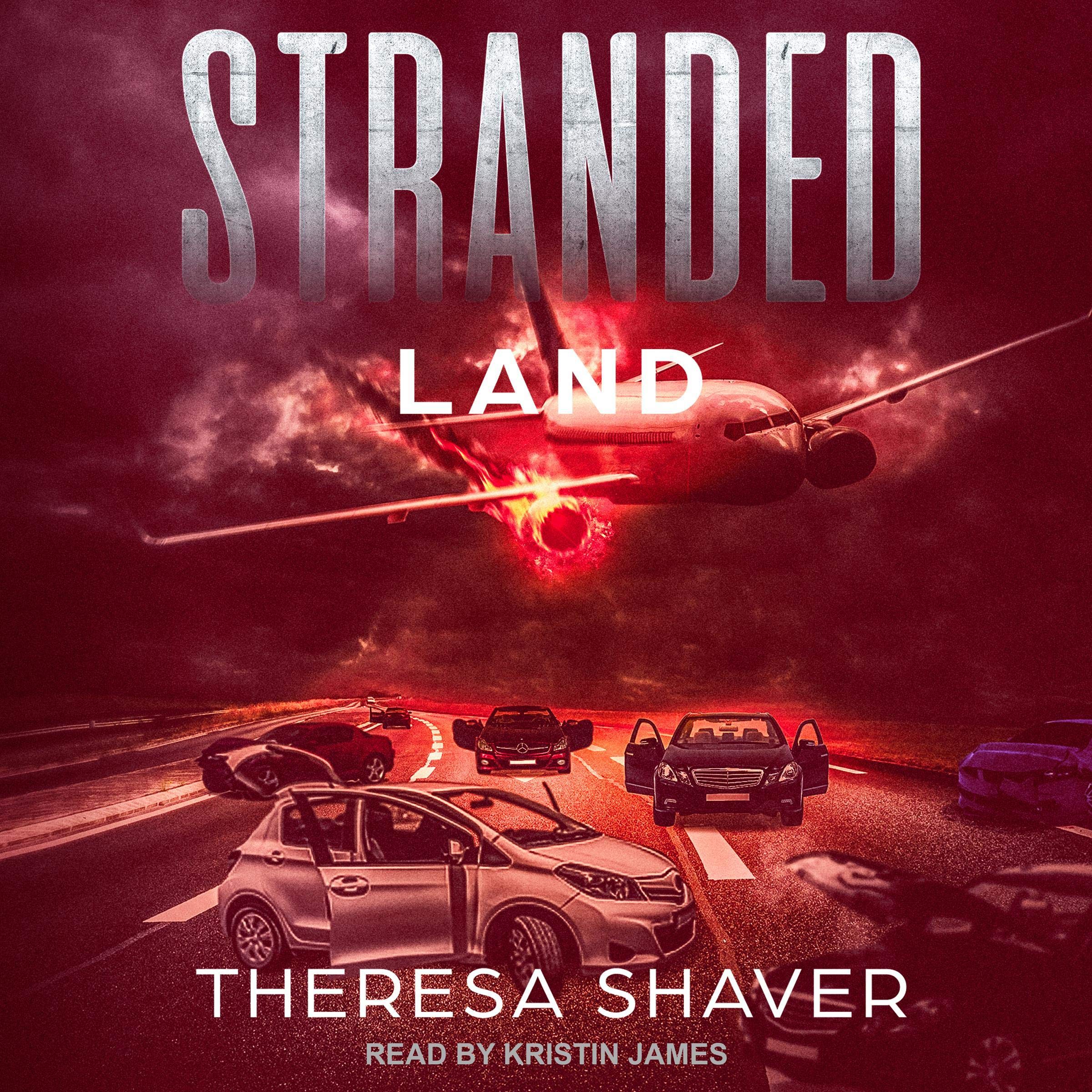 Cover art for Stranded: Stranded Series, Book 1