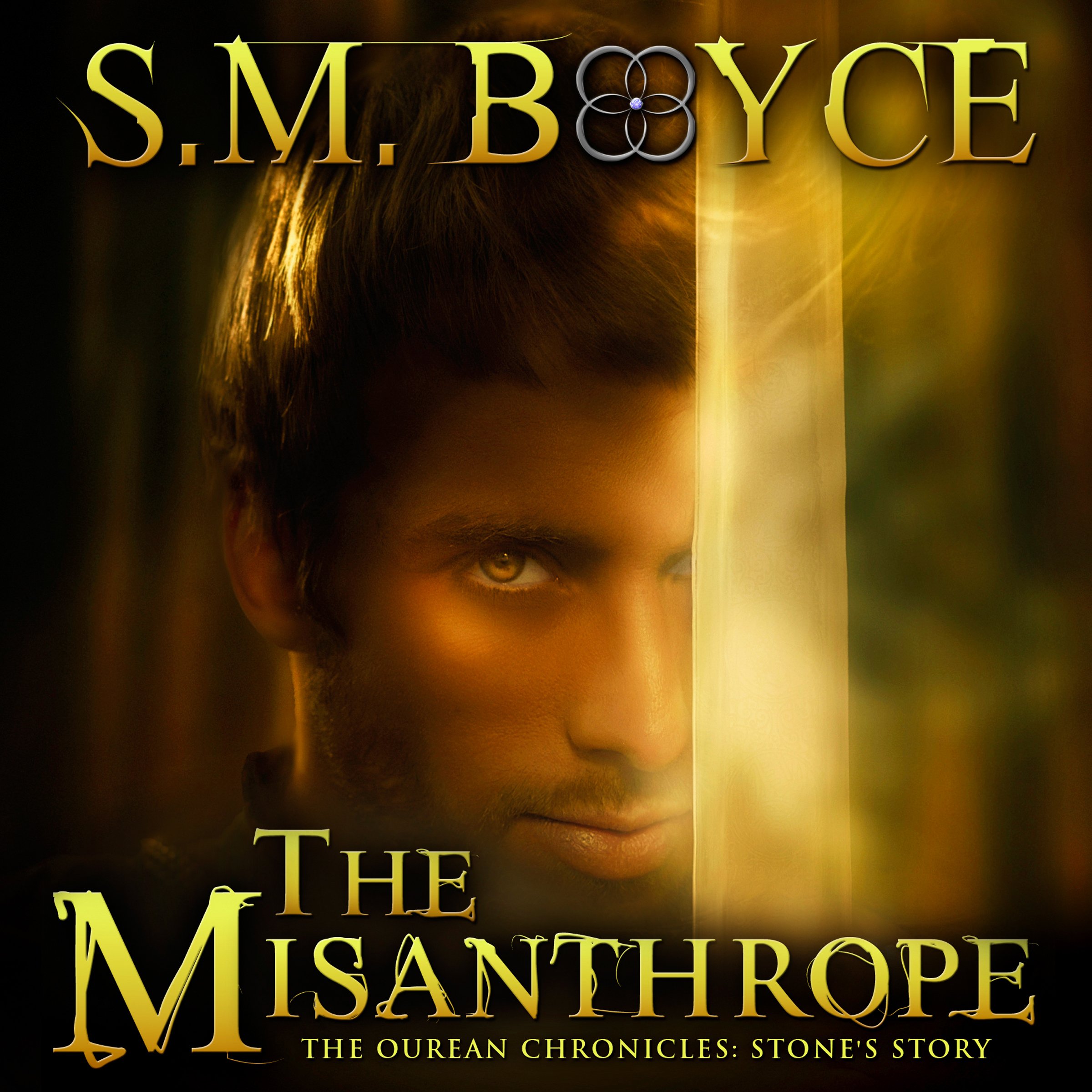 Cover art for The Misanthrope: Stone's Story