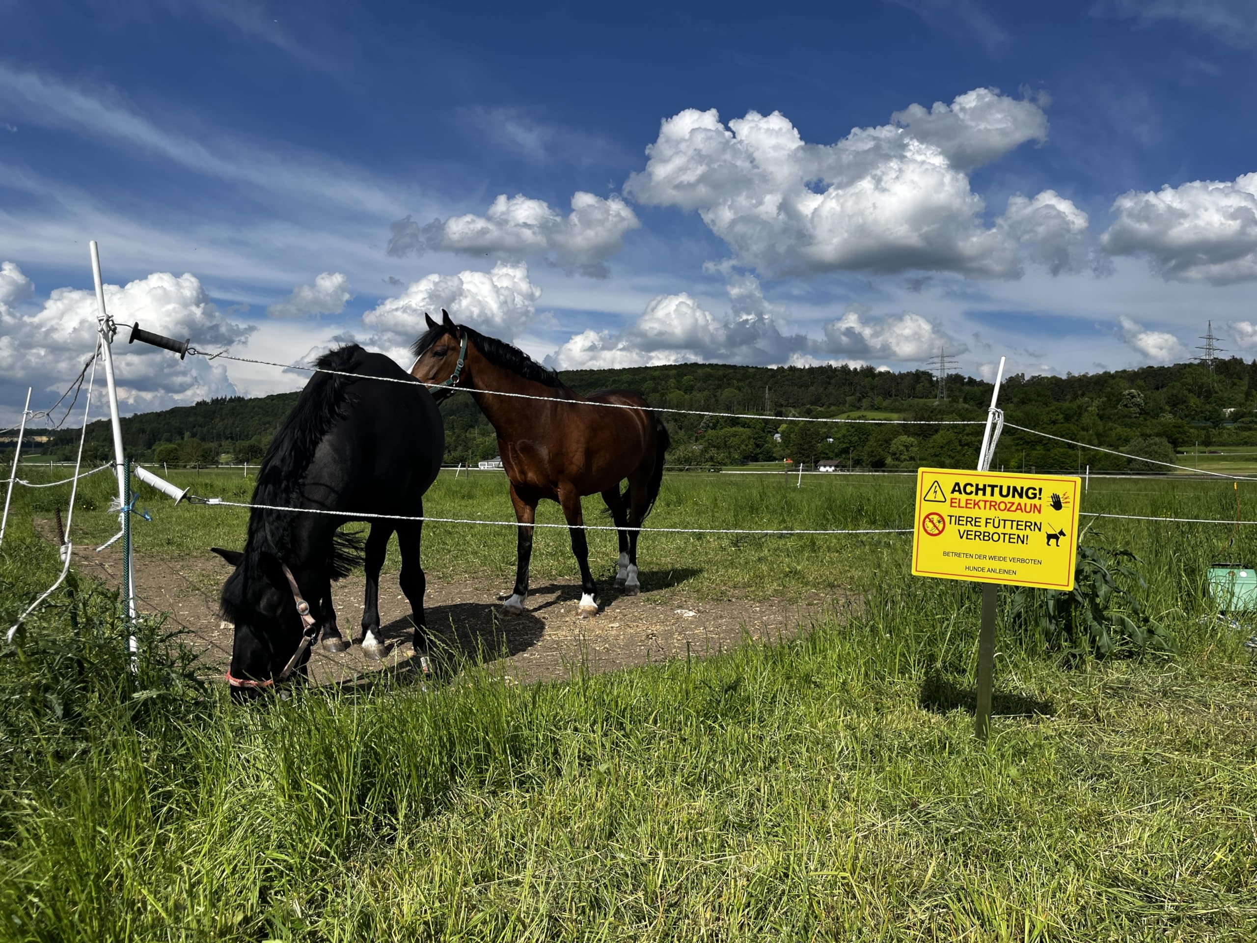 STROBO XXL Achtung ! Electric Fence Animals Feeding Willow No Bettering Sign 30 x 40 cm Made of Sturdy PVC Rigid Foam Board 5 mm with UV Protection Pack of 5 - Image 3