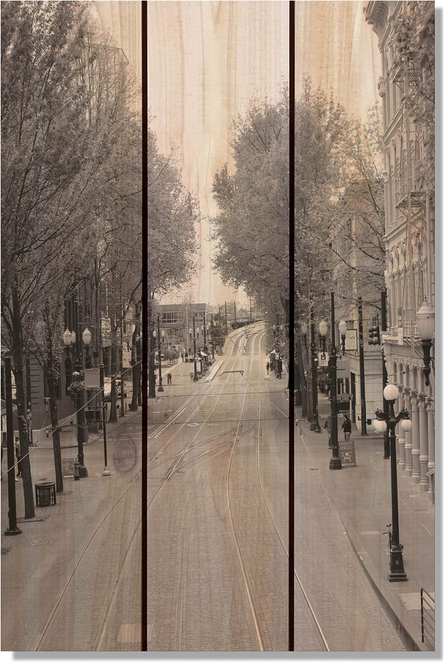City Street 16-Inch by 24-Inch Inside/Outside Wall Art, Full Color on Cedar