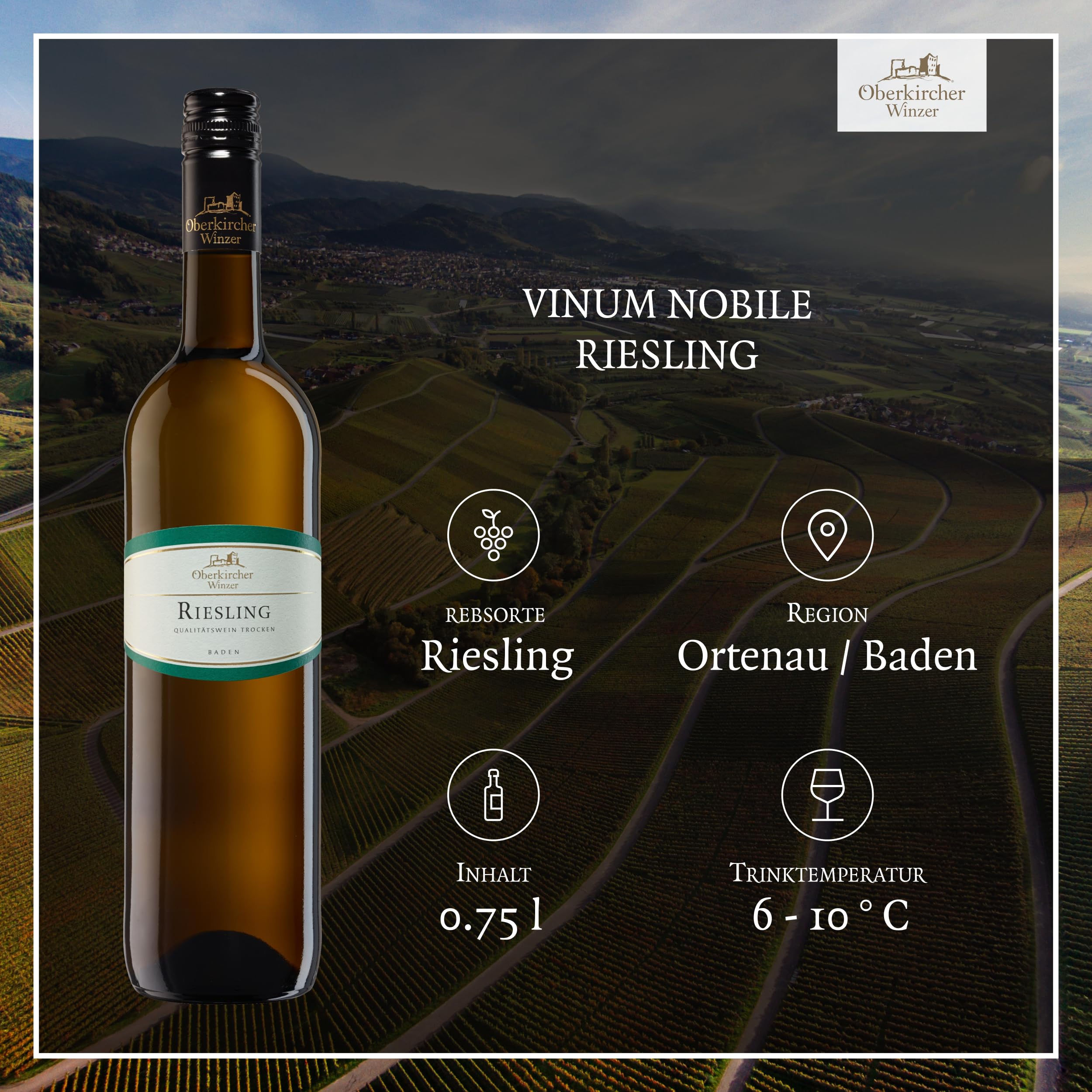 Oberkircher Winzer Wein Probierpaket - VINUM NOBILE - Riesling, Grauburgunder, Chardonnay, Spätburgunder, Merlot, Syrah - Premium Weißweine & Rotweine trocken aus Baden (6 x 0,75l)