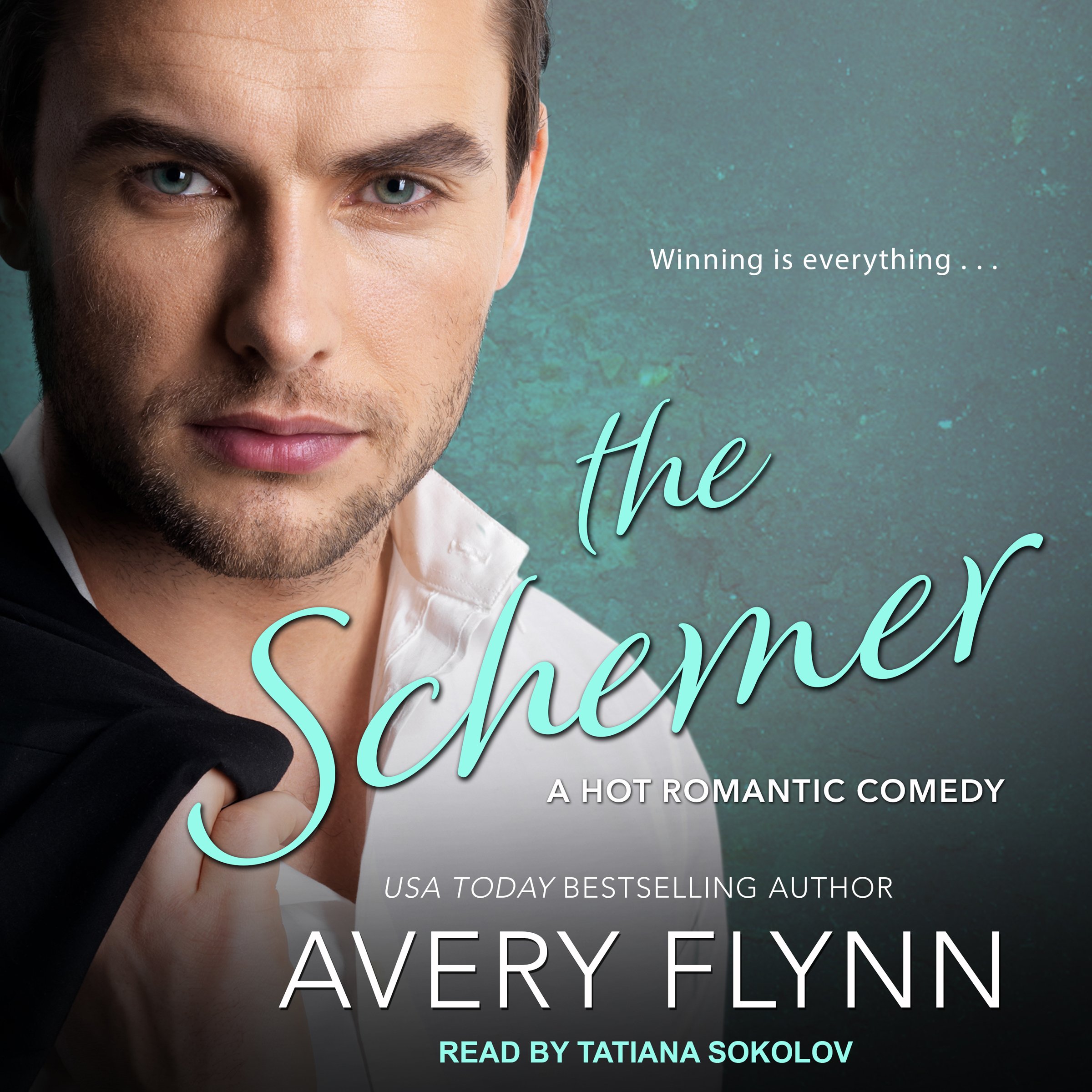 Cover art for The Schemer