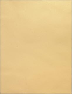 Pale Gold Vellum Paper Sheets 8.5 x 11 inch 100gsm Translucent Printable Tracing Clear Paper for Sketching Tracing Drawing Drafting Pack of 50 by Quotidian