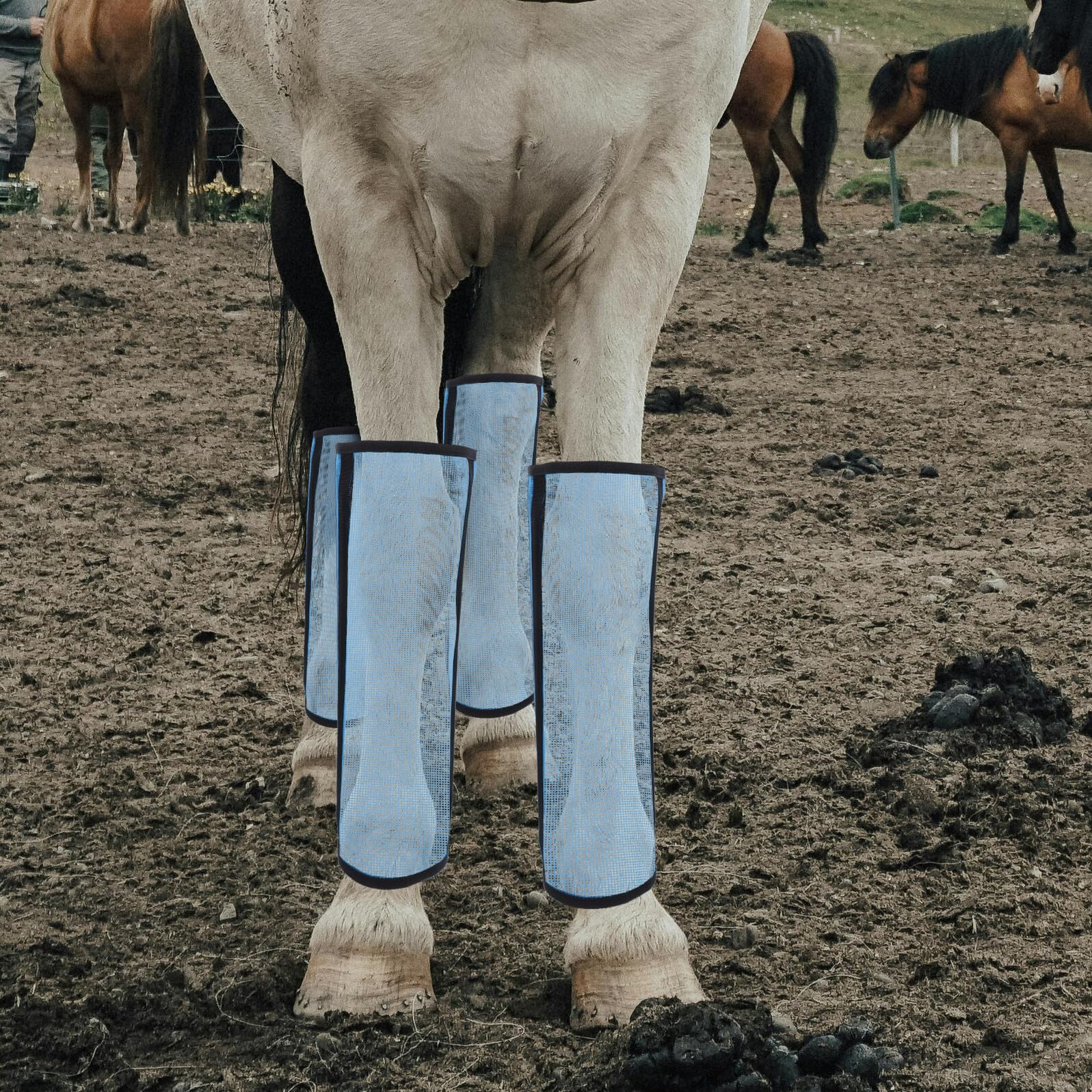 UPKOCH Fliegengamaschen 4 Stück Netzgewebe Atmungsaktiv Pferdebein Schutz Für Reitveranstaltungen Und Trainingseinheiten