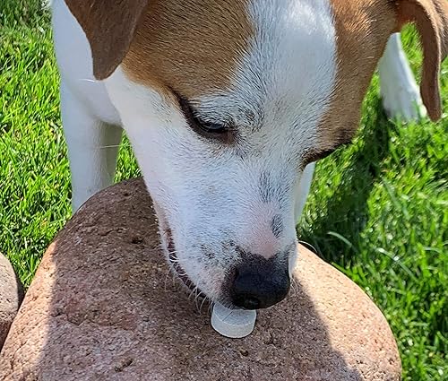 Miniatura 3 de Essential Pet Products - Tableta masticable para perros adultos con soporte para cadera y articulaciones 500 mg de glucosamina y 400 mg de