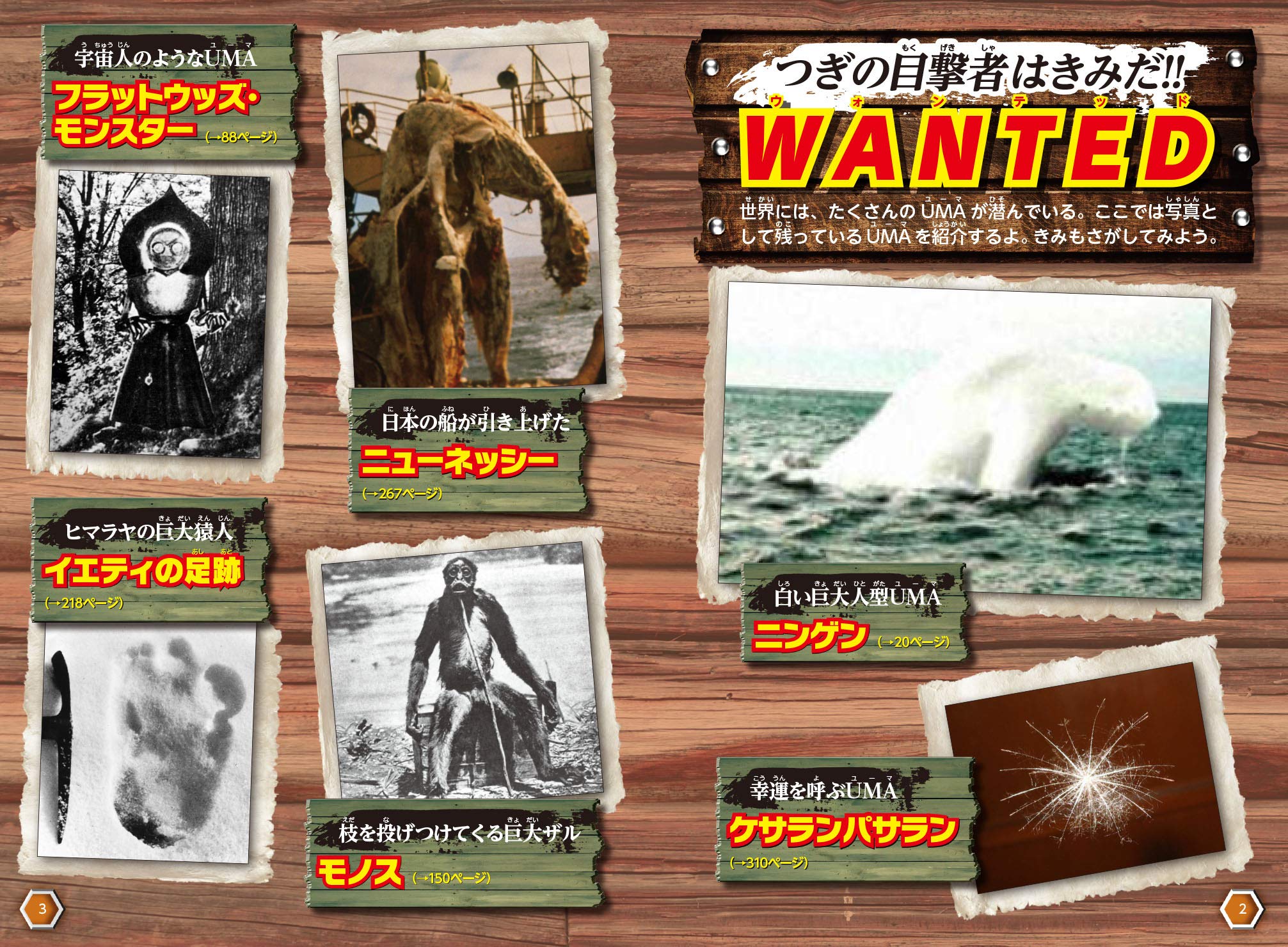 世界のuma 未確認生物データブック Books Amazon Ca