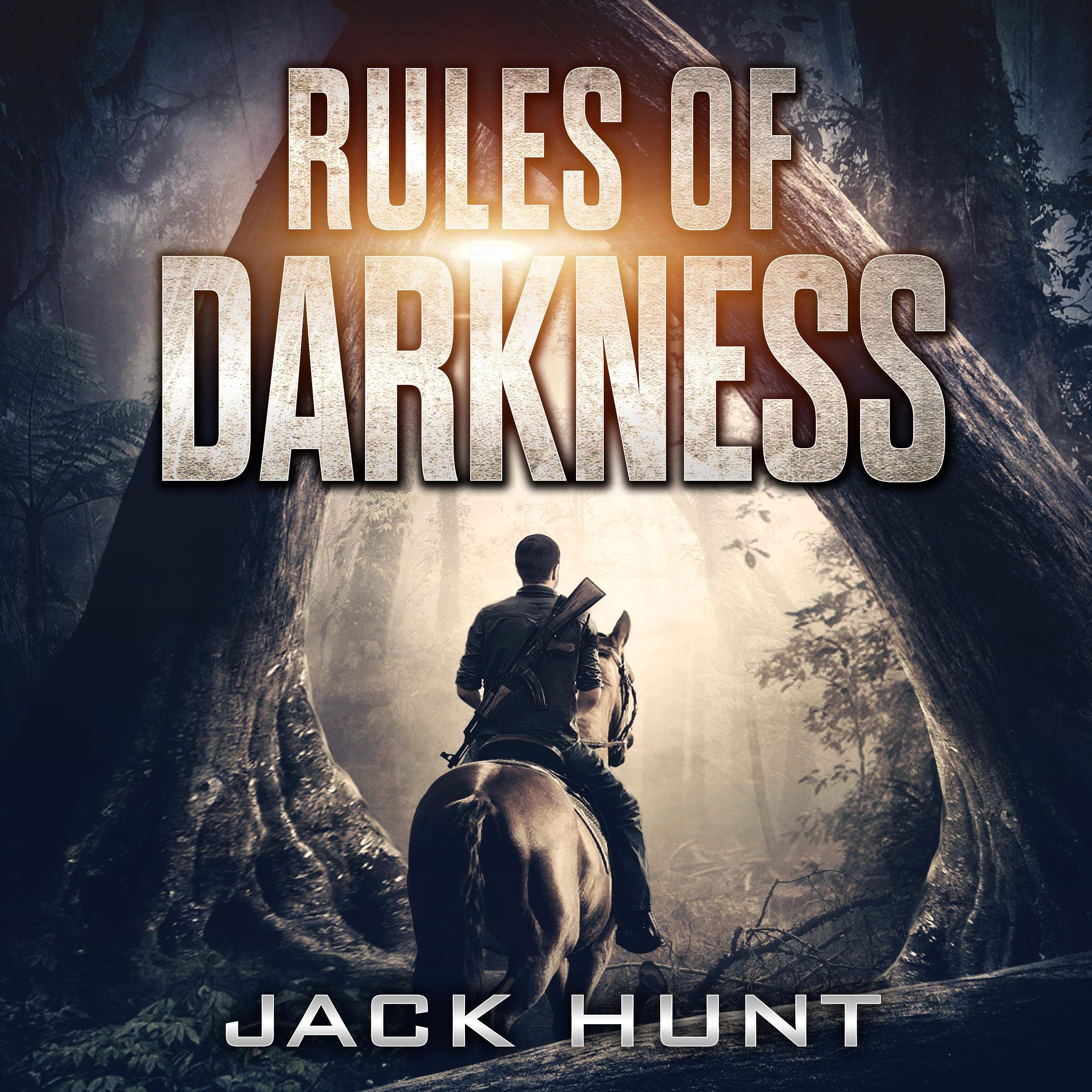 Cover art for Rules of Darkness