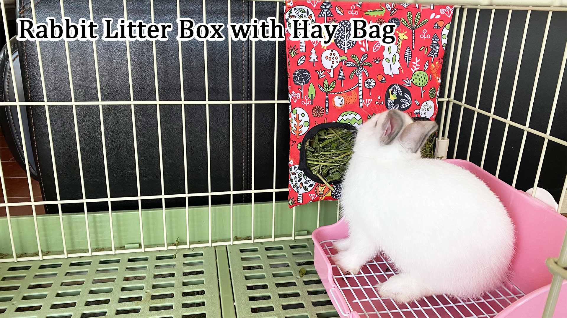 Best Rabbit Litter Box Setup Best Bunny Litter Box Store