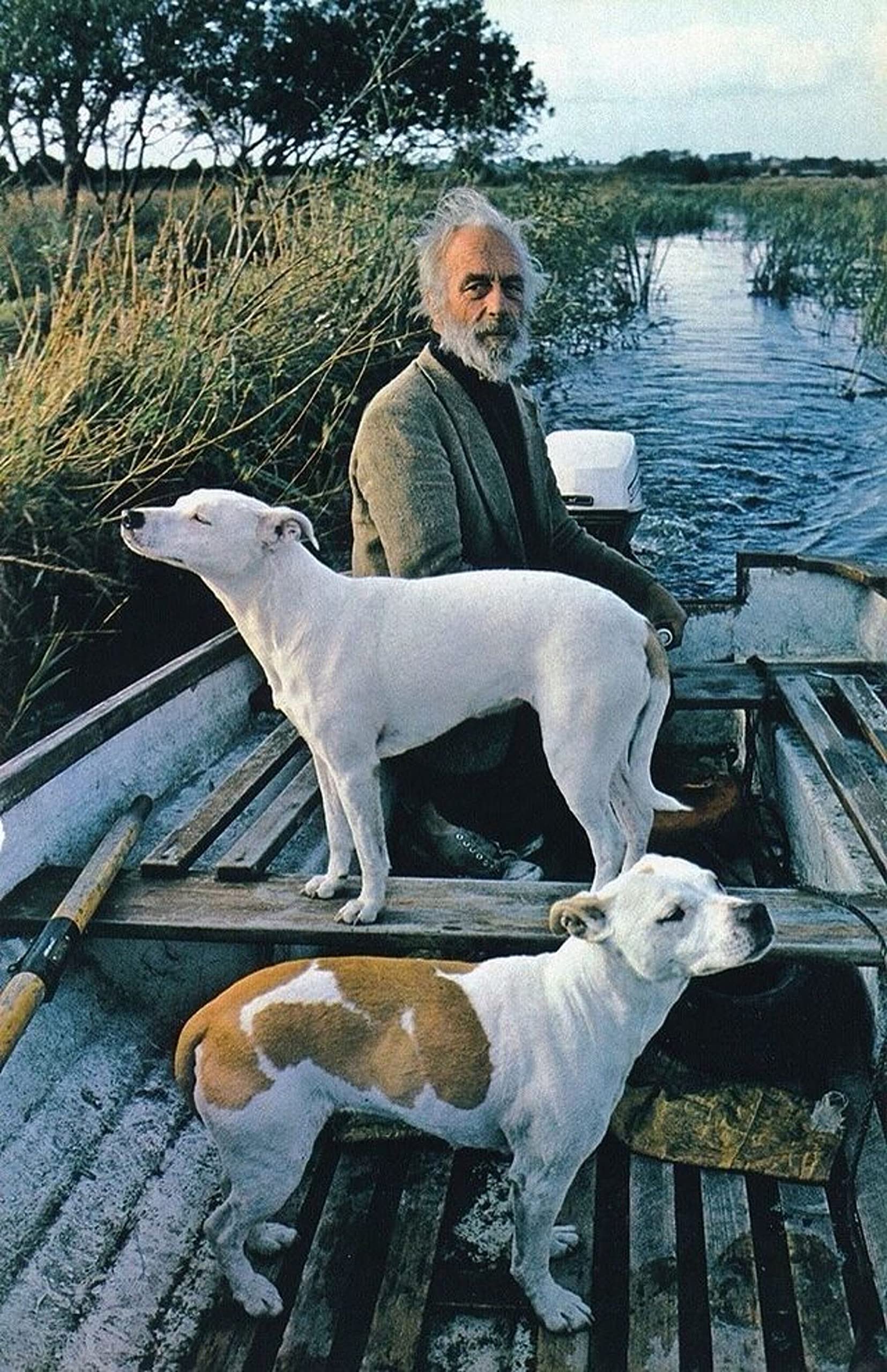 Tnnd Goodfellas Old Man Dogs Photos Old Man With Dogs Goodfellas Movie Metal Sign Bathroom Decor Vintage Mural 8X12 Inches