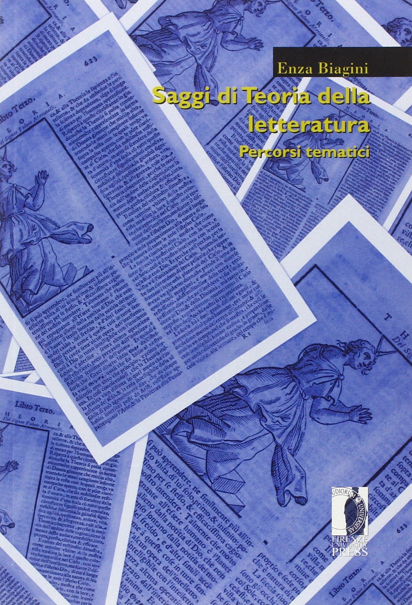Saggi di teoria della letteratura. Percorsi tematici