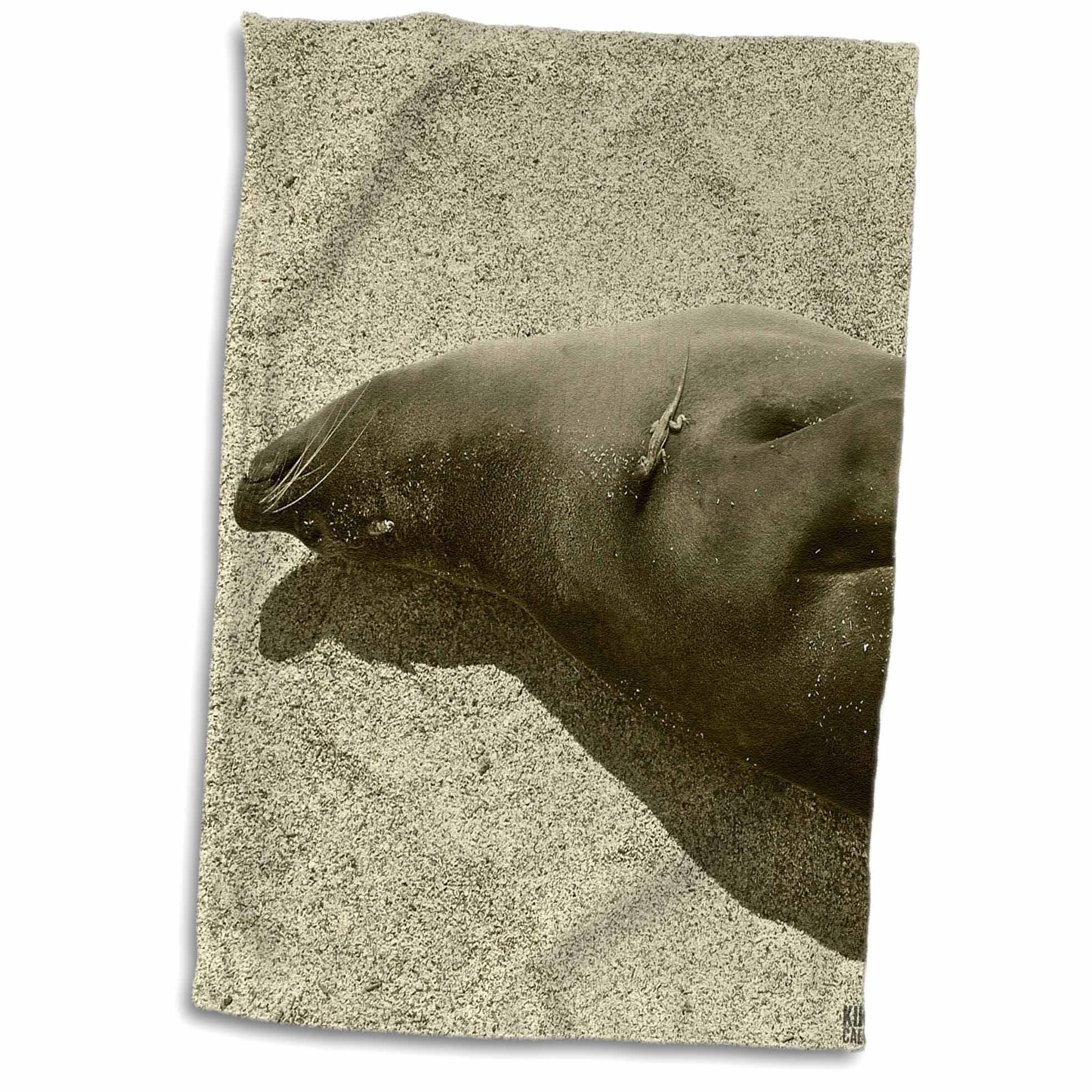 3dRoseKike Calvo Galapagos - Galapagos Islands Ecuador - Towels (twl-10182-1)