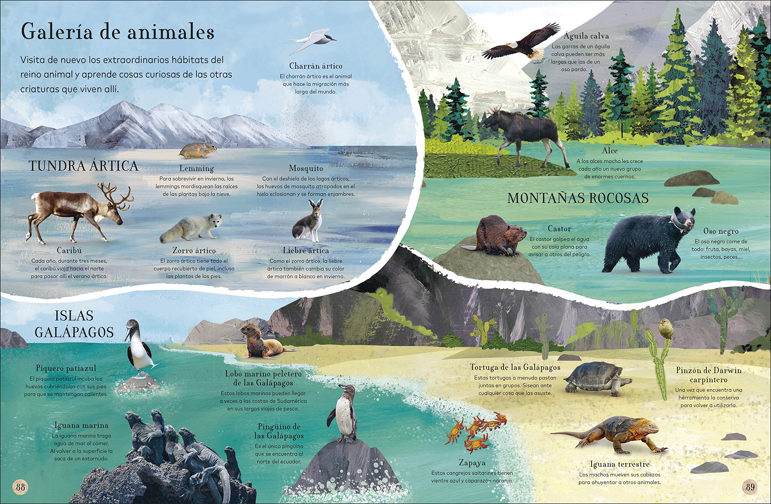 ?Donde viven los animales? (Through the Animal Kingdom): Animales asombrosos y sus extraordinarios habitats (Journey Through) (Spanish Edition) - Image 2