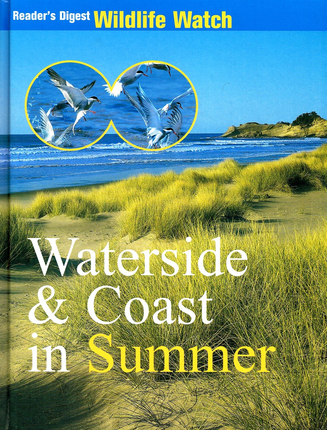 Waterside & Coast In Summer