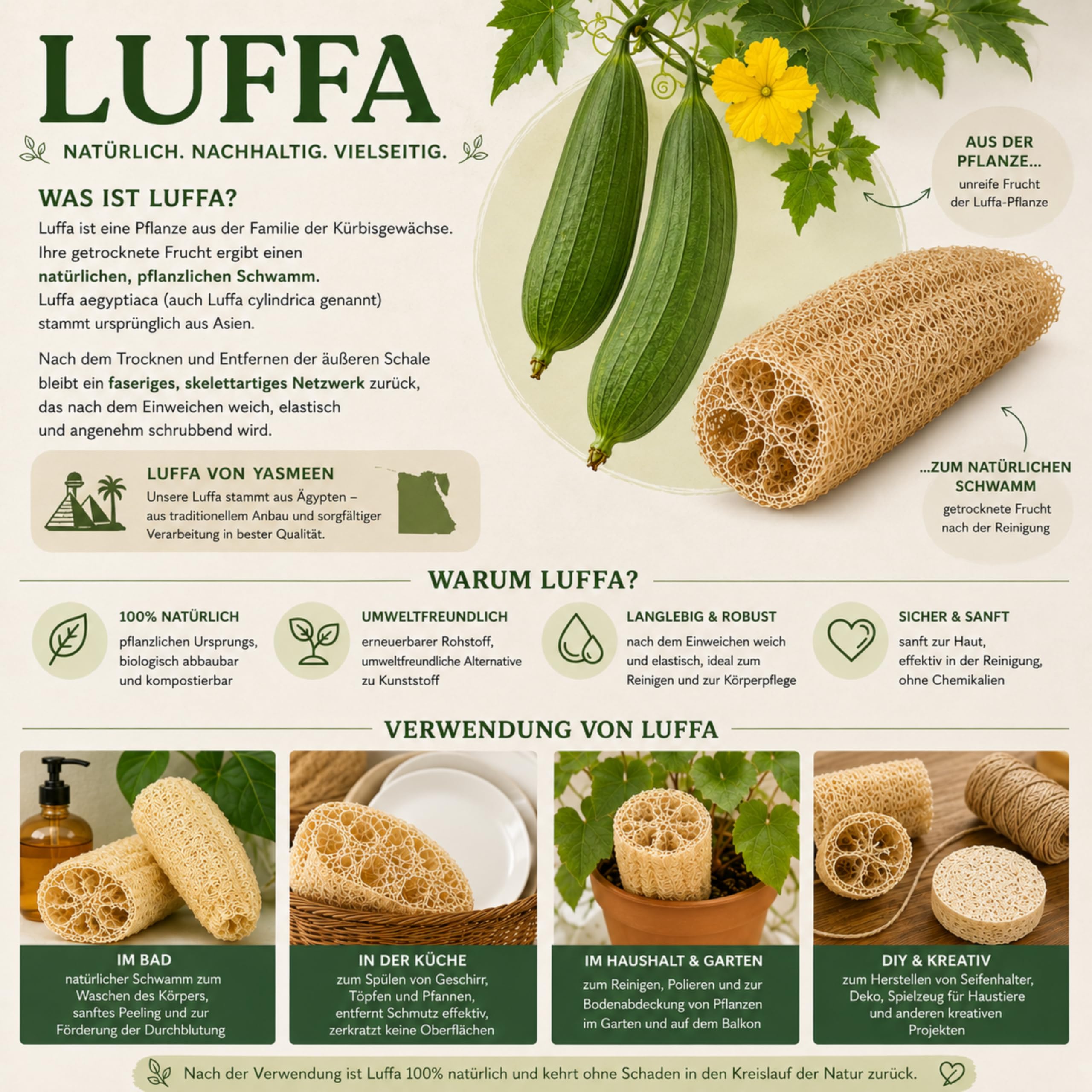 Naturalna gąbka do mycia naczyń z luffa – biodegradowalna, opakowanie 10 szt. – naturalne gąbki luffa – gąbki kuchenne wielokrotnego użytku do naczyń i powierzchni – przyjazne dla środowiska