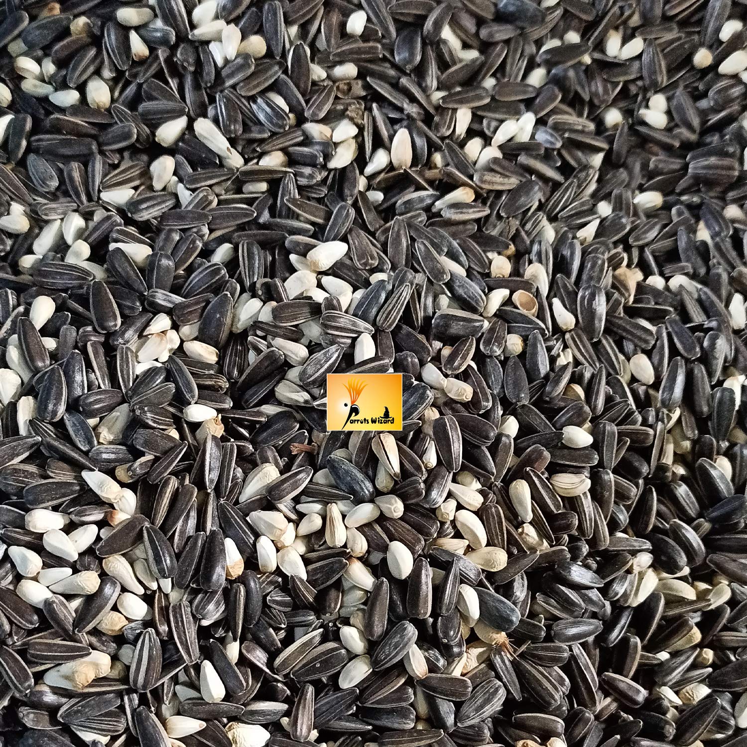 Small Sunflower and Safflower Seed Mix Bird Food [900 Grams]