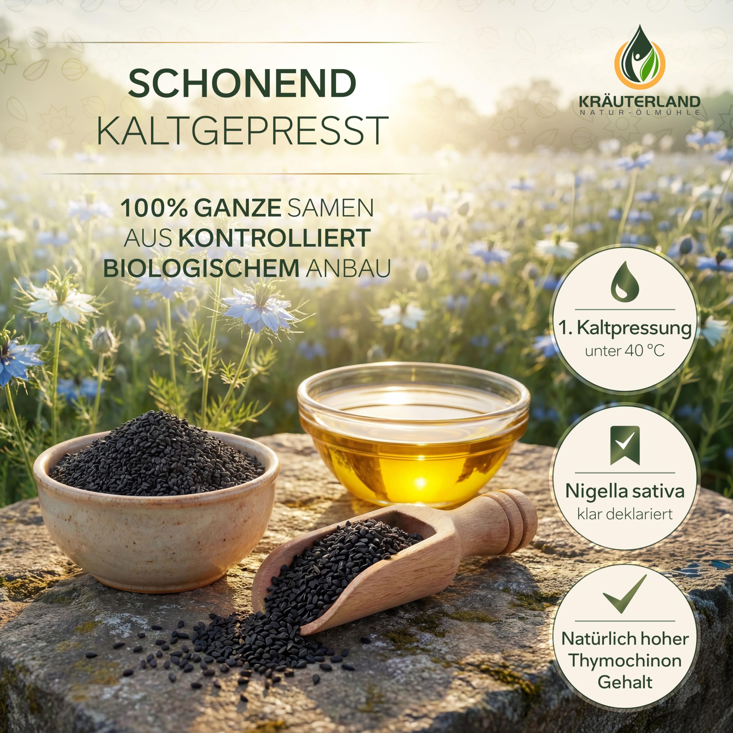 Kräuterland Bio Schwarzkümmelöl 4x250ml (1Liter) kaltgepresst gefiltert naturrein hoher Thymoquinon