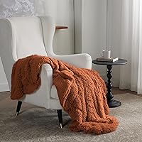 Vista 6 de Bedsure GentleSoft Fluffy Burnt Orange Throw Blanket Fall Decorations for Home, Terracotta Blanket Fall Decor for Living Room, Soft Sherpa Fleece