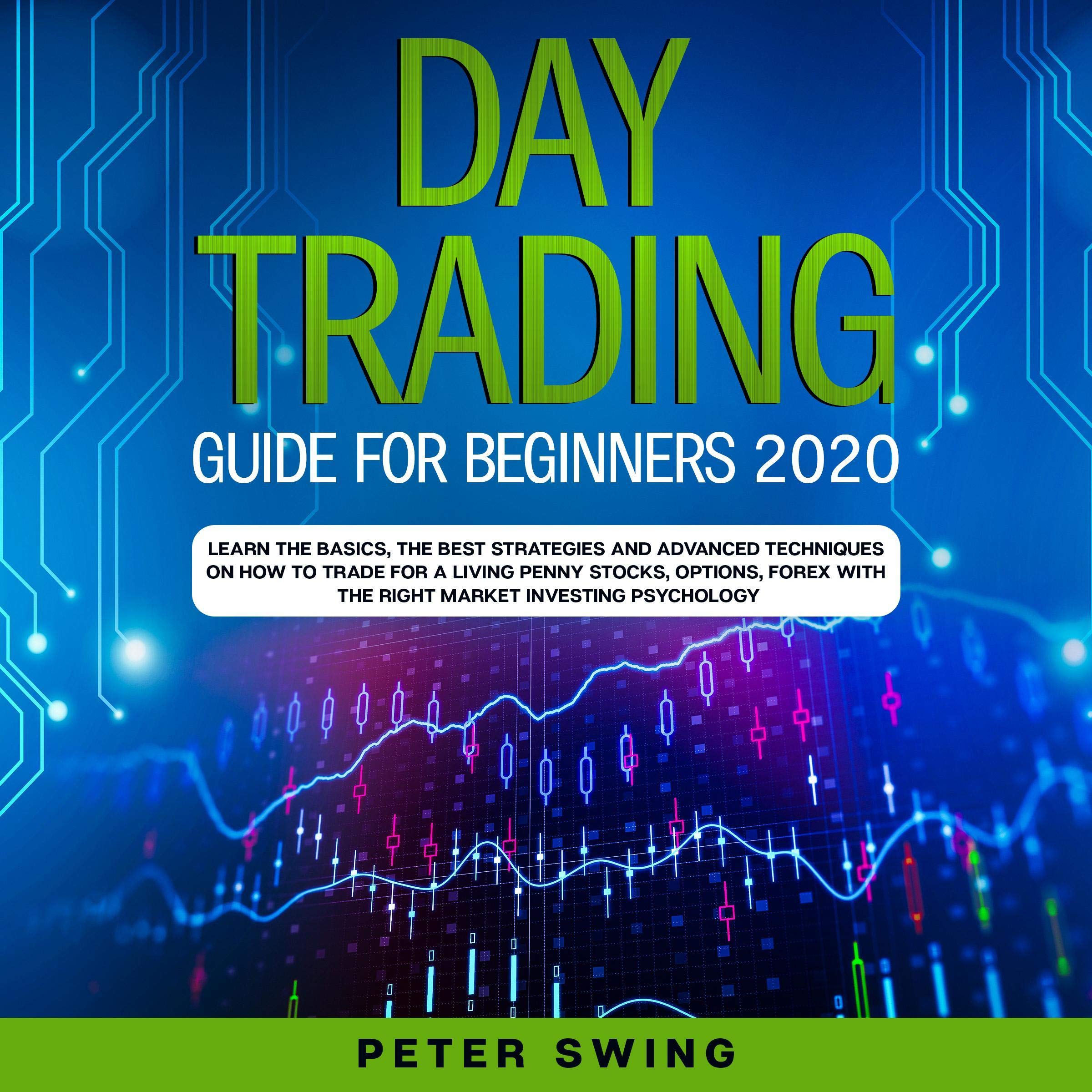 Cover art for Day Trading Guide for Beginners 2020