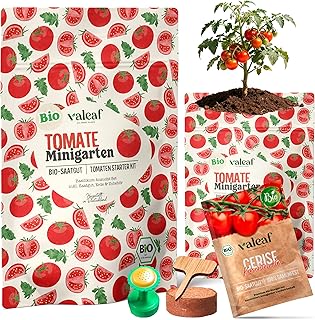 valeaf BIO Tomaten Starter Set - Anzuchtset mit Kirschtomaten Samen, ideal als Geschenk für Hobbygärtner