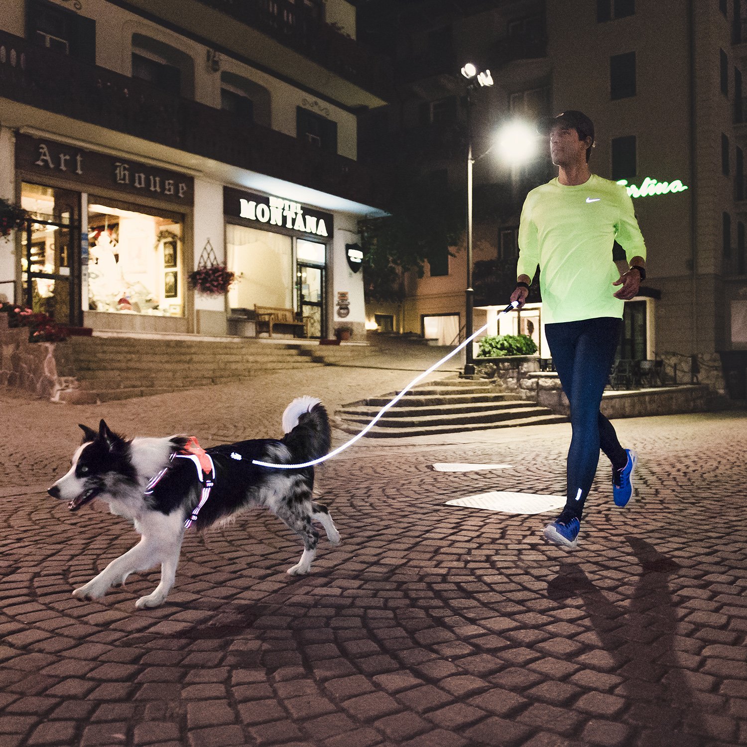 Hurtta Dazzle - Correa para Perro