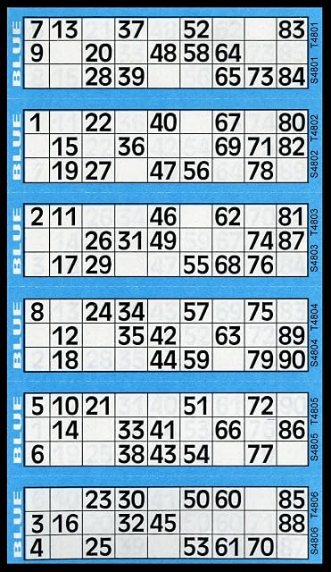 Thomas & Anca Club Supplies Ltd 600 Bingo Tickets - Pad of Blue 6 to View Flyers