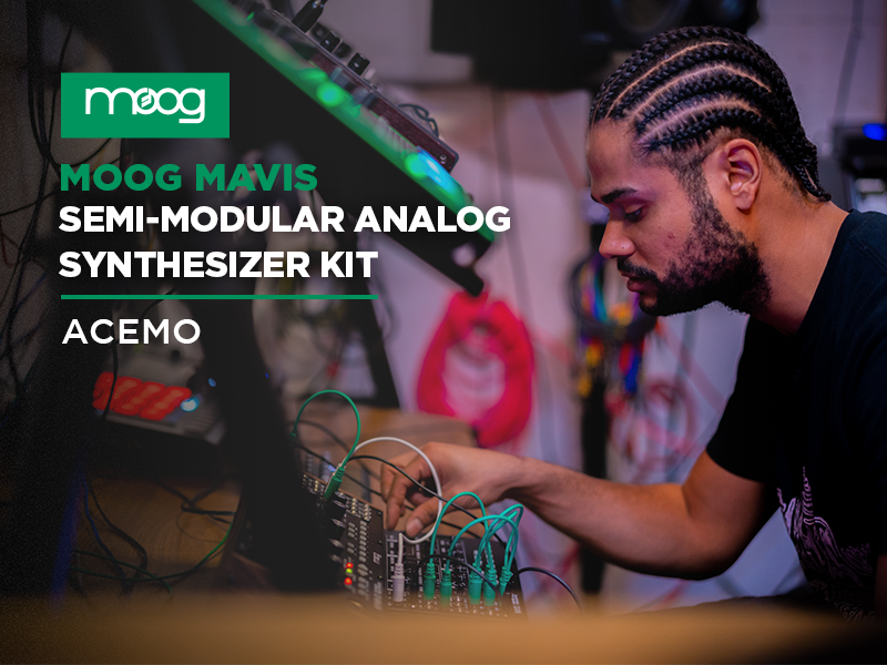 Amazon.co.jp: MOOG Mavis キーボード付きスタンドアロン・セミ