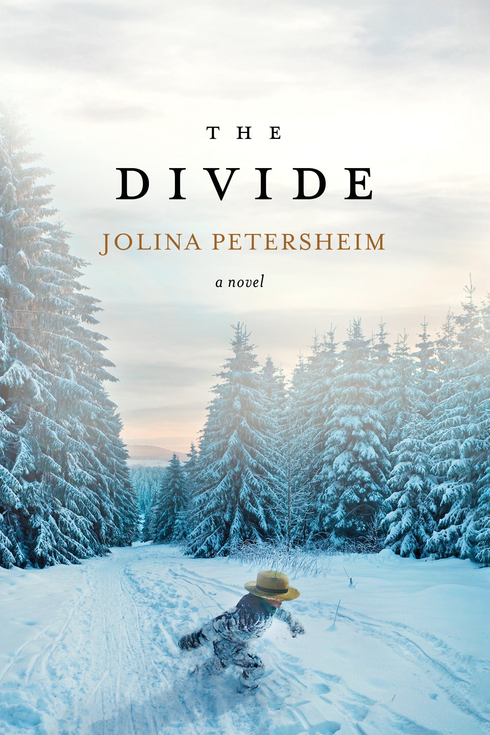 Buy The Divide (Alliance) — BookShops.in
