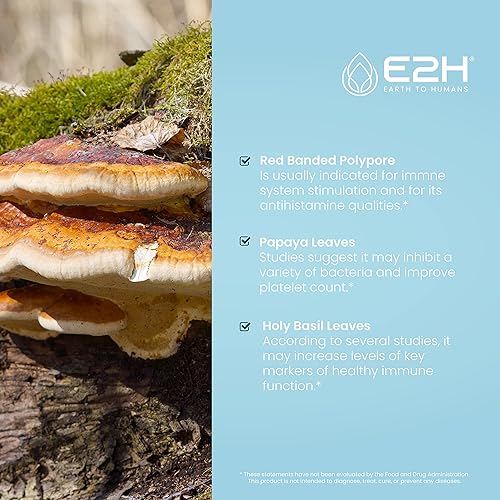 Miniatura 3 de E2H Suplemento avanzado de defensa inmunológica, refuerzo inmunológico totalmente natural, suplementos de apoyo inmunológico, gotas - Contiene