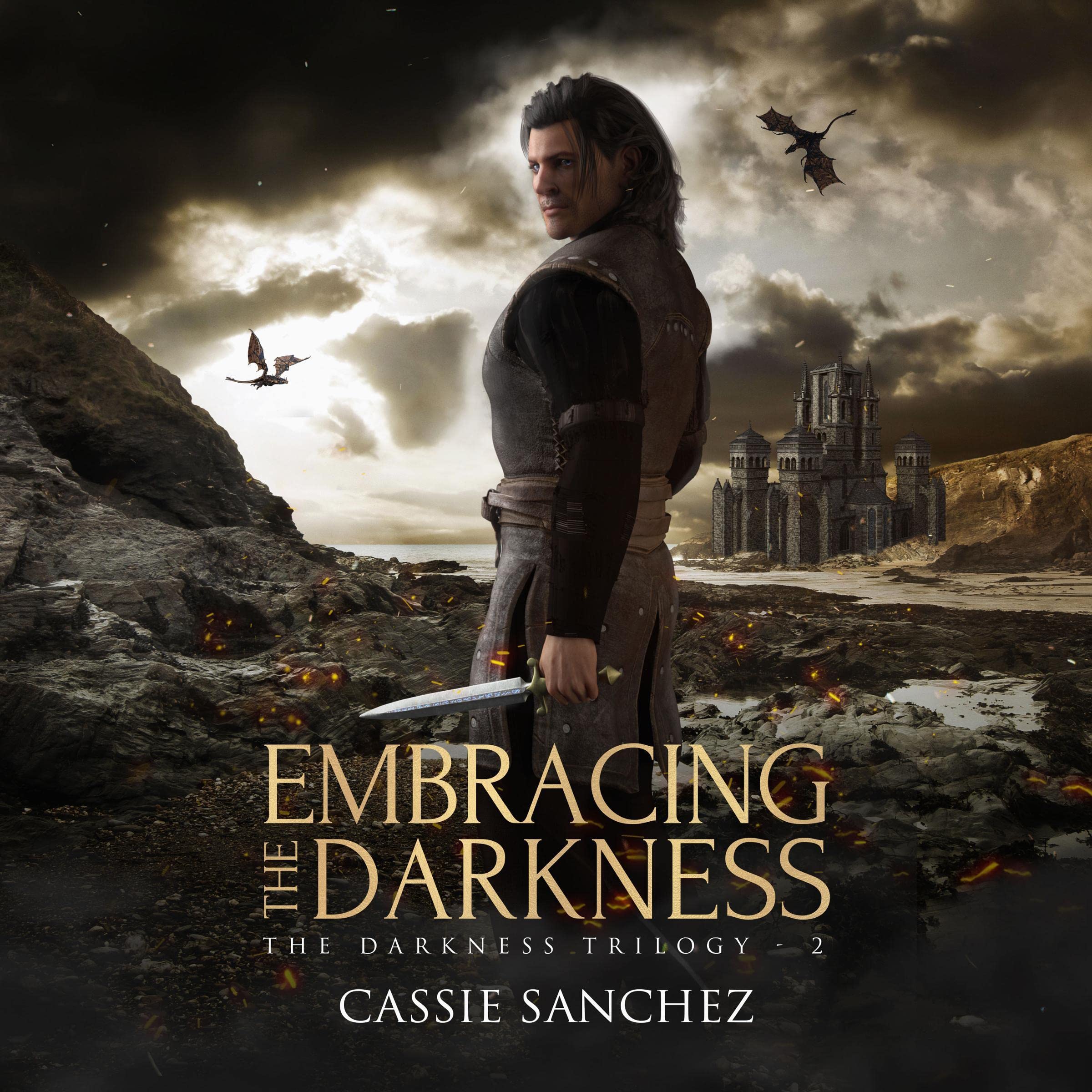 Cover art for Embracing the Darkness