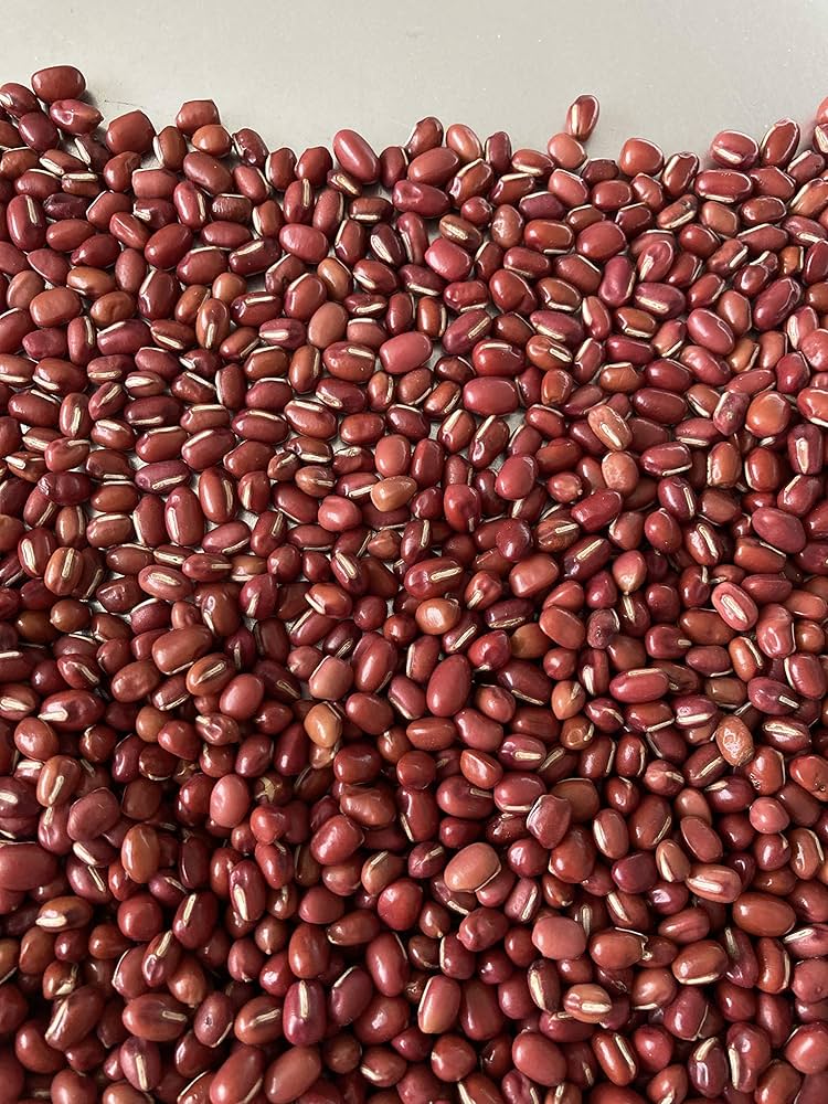 ビオソルト　野草塩　ノニ塩　薬膳　マクロビ　無農薬　発芽玄米　酵素玄米　小豆 廣新】魚沼産無農薬コシヒカリ玄米醸造 150ml | FERMENT8 STORE