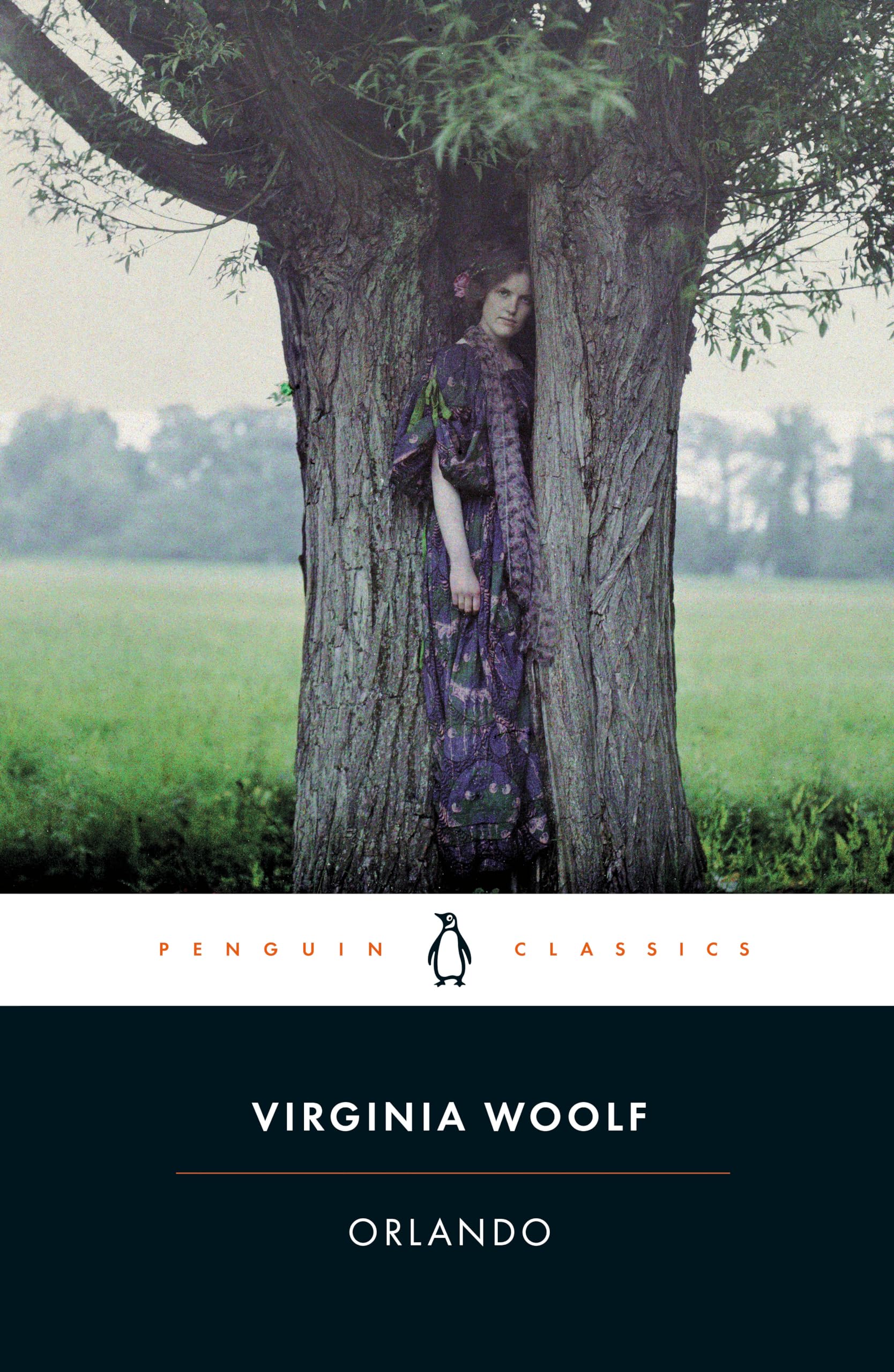 Orlando: a biography (Penguin classics)