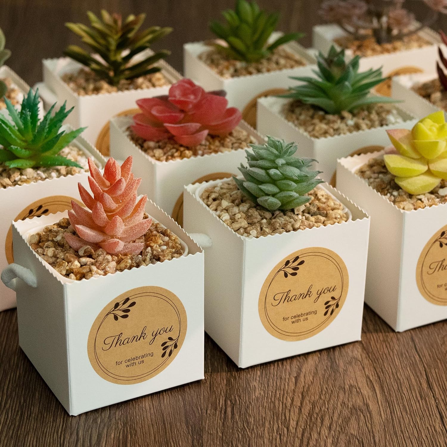 Temlum 2.5 Inch Succulent Wrap Bags (Fits 2.5″ Pots) with Thank You & Let Love Grow Stickers, Small Gift Box for Wedding, Baby Shower, Succulent Party Favors for Guests (White 40pcs) - Image 7