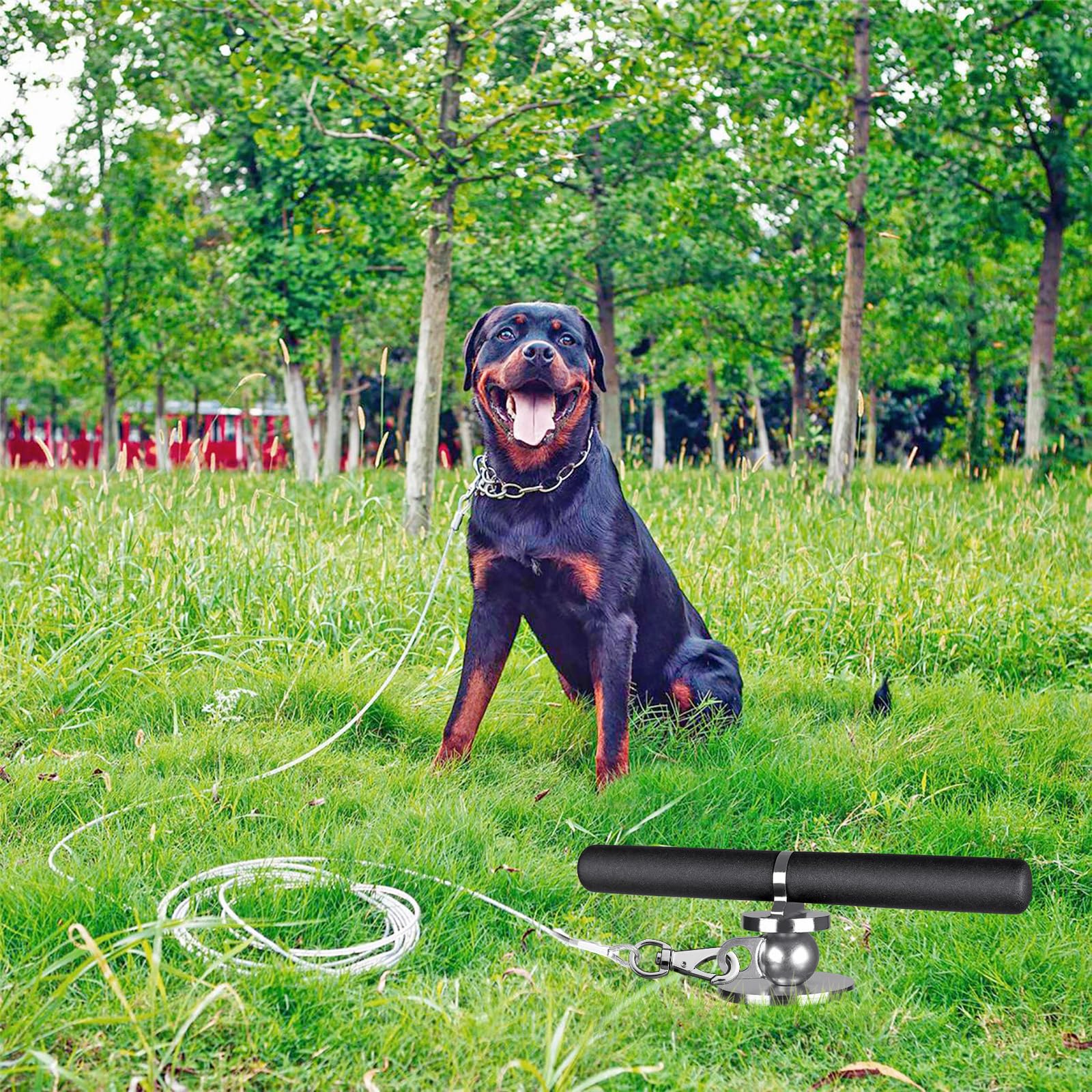 Piquet d'attache pour chien de 38,1 cm, piquet en spirale robuste pour chiens de taille moyenne à grande pesant jusqu'à 100 kg, sans nœud, ancre pour chien, pour cour, camping et plage