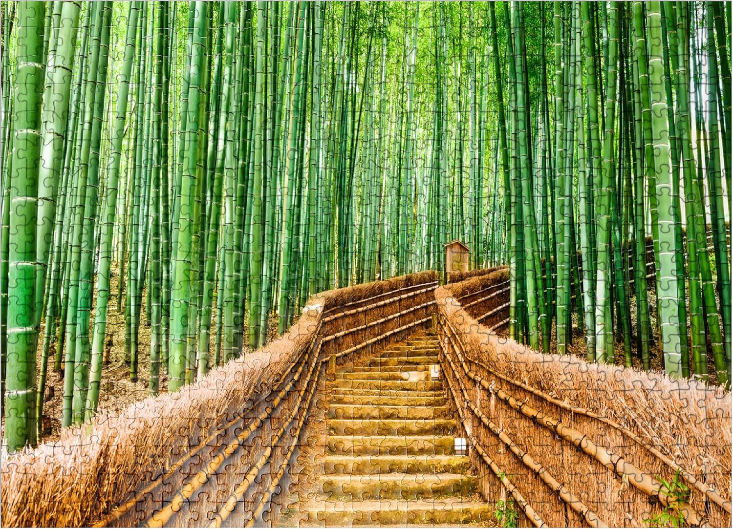 MyPuzzle Kyoto Japan in Bamboo Forest - Premium 1000 Piece Jigsaw Puzzle for Adults