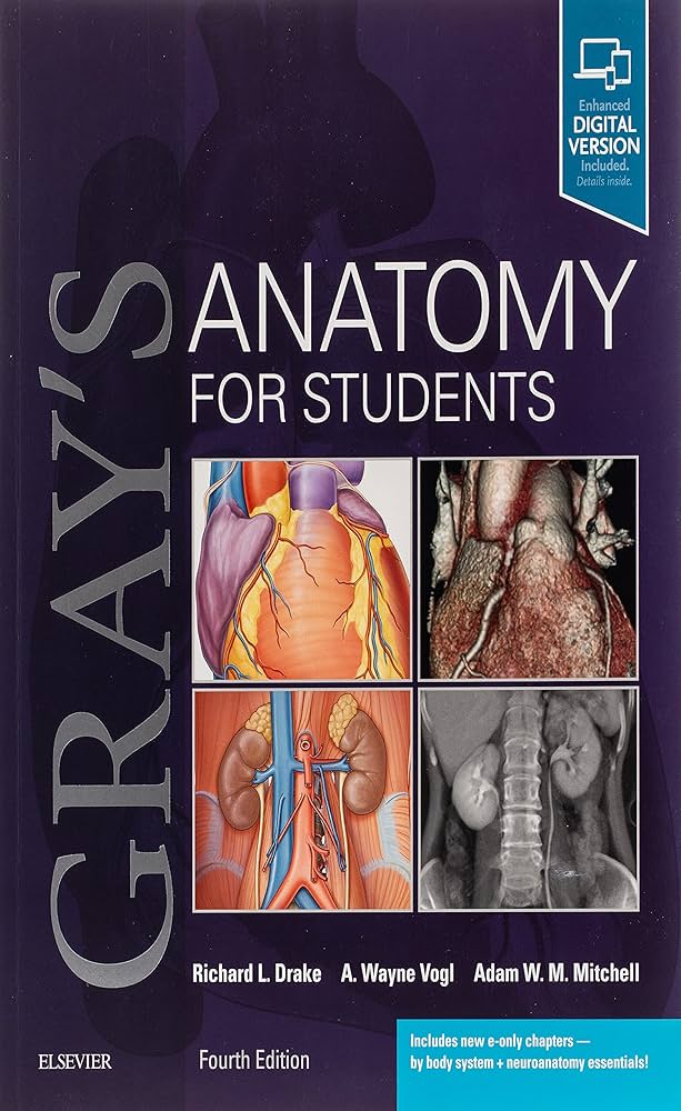 GRAY'S ANATOMY FOR STUDENTS 第四版 Gray's Anatomy for Students 4th Edition: With Student
