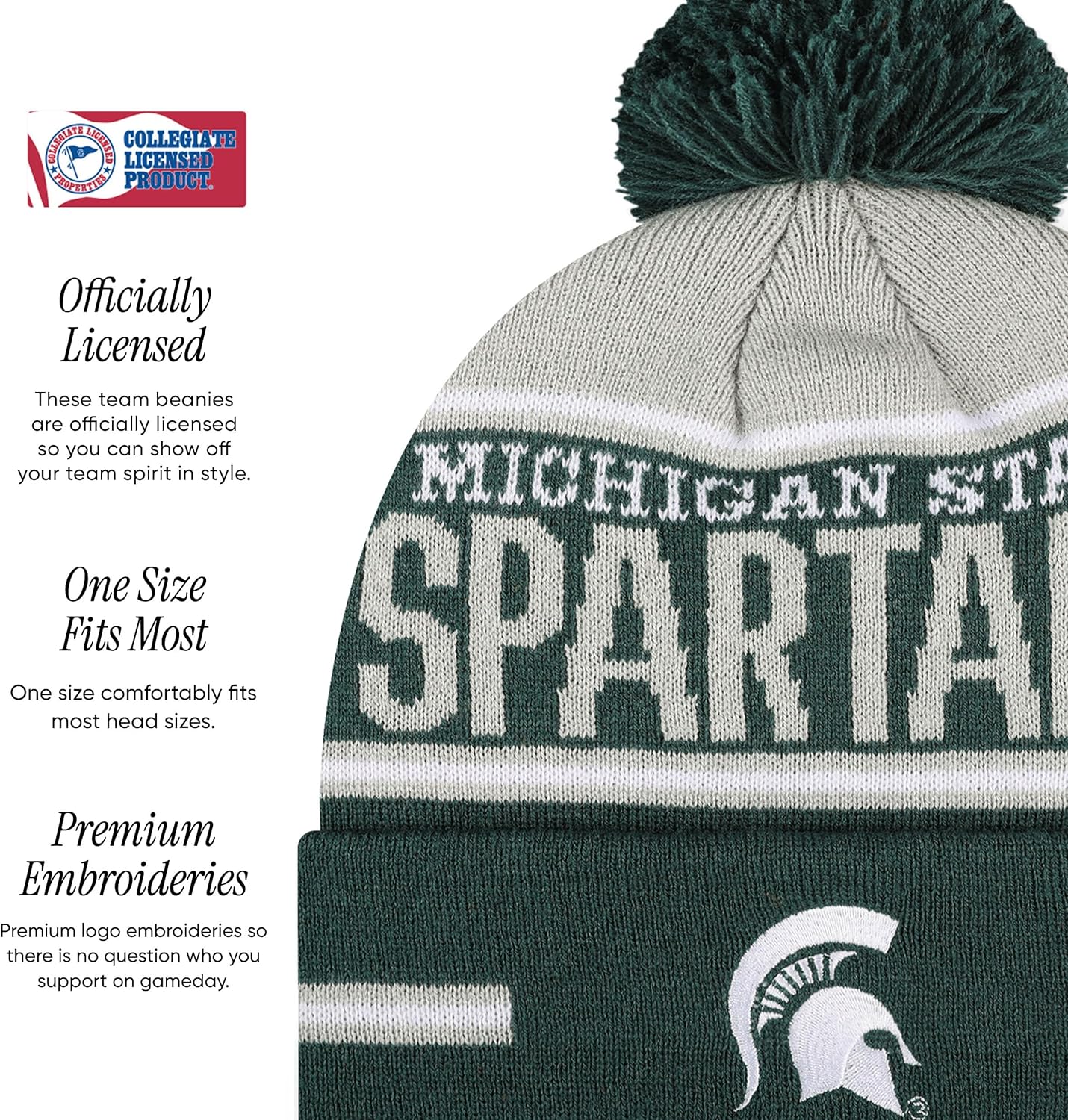 FOCO NCAA unisex-adult Ncaa College Team Logo Adult Stretch Gloves With Big Wordmark Strip Pom Knit Hat Beanie Set