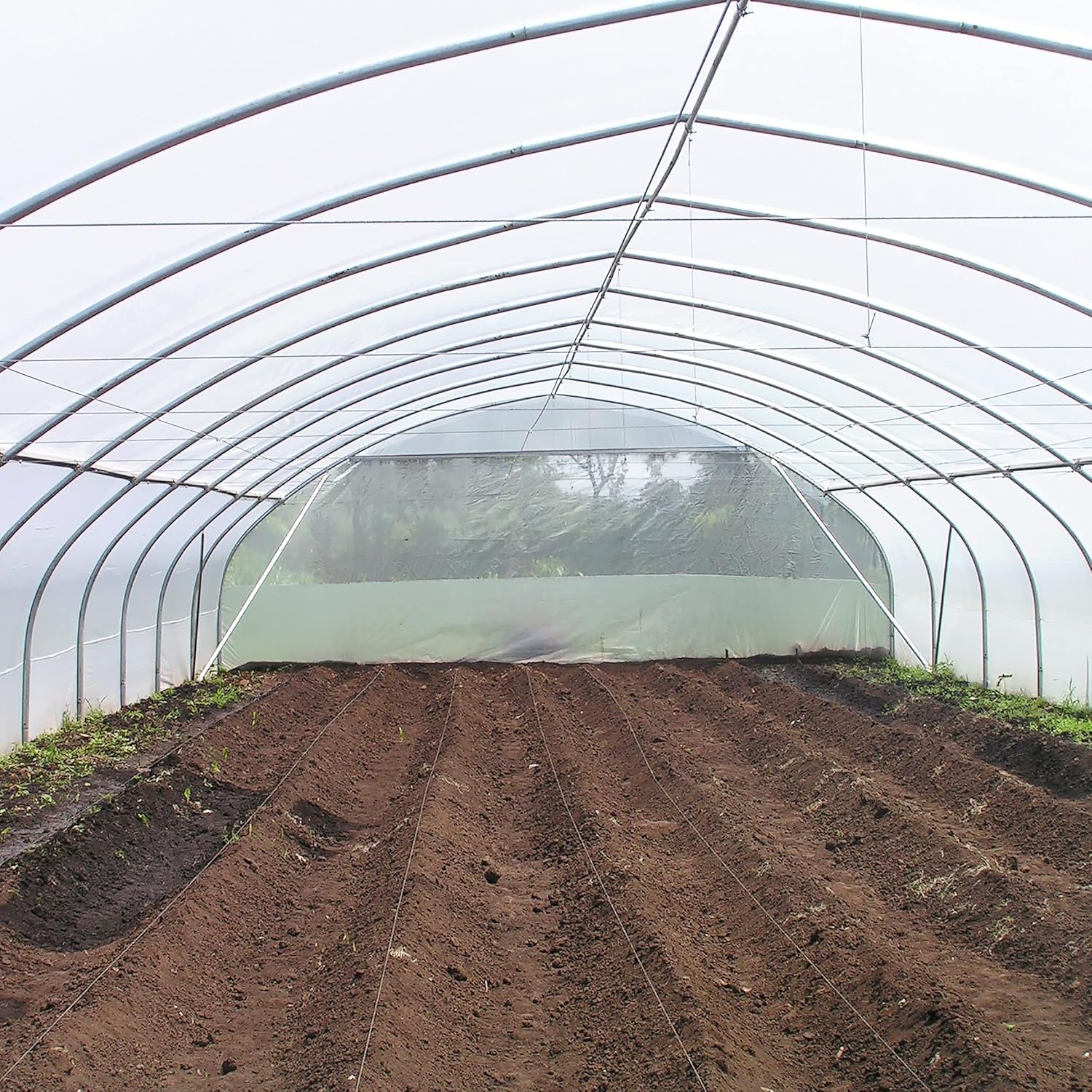 32 ft Wide and 50 ft Long Clear Greenhouse Plastic Sheeting | 6 Mil 4 Year UV Resistant Polyethylene Greenhouse Film