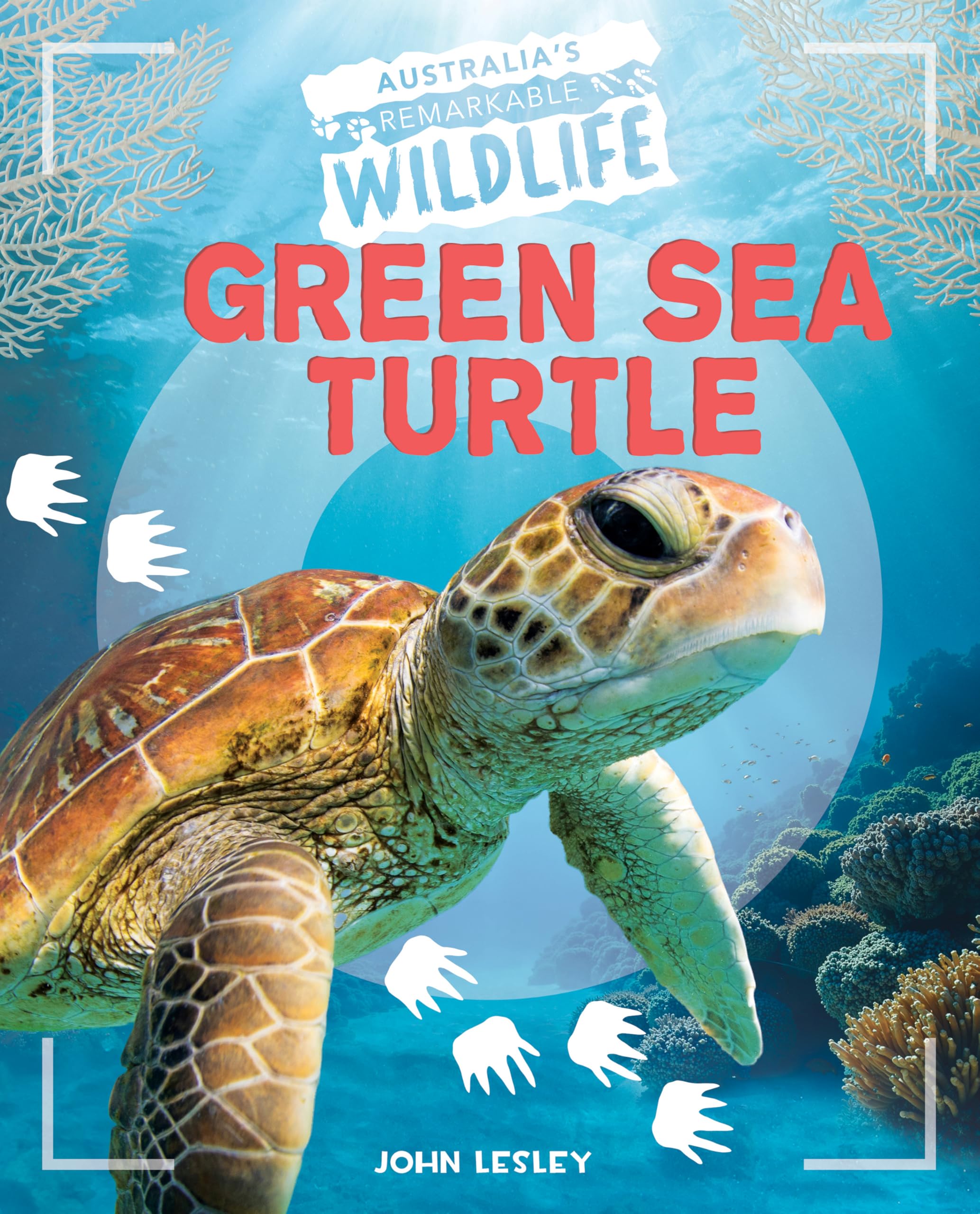 Green Sea Turtle (Australia's Remarkable Wildlife)