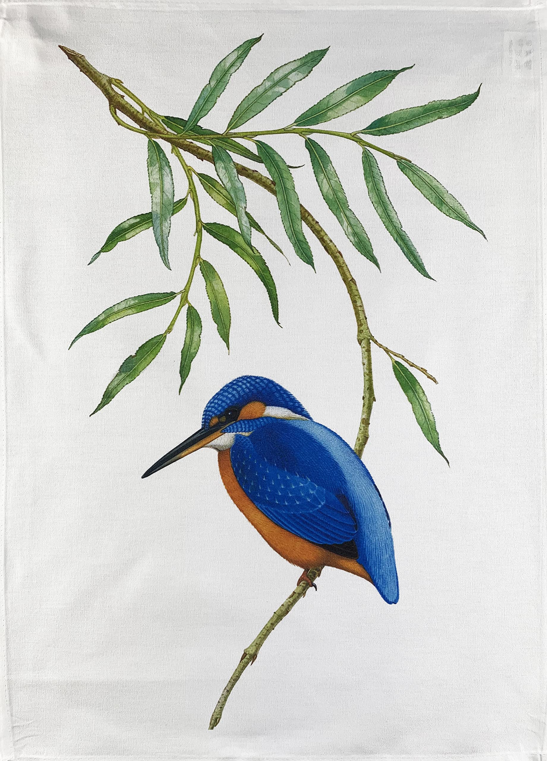 Half A Donkey White The Hand Drawn Kingfisher Large Cotton Tea Towel