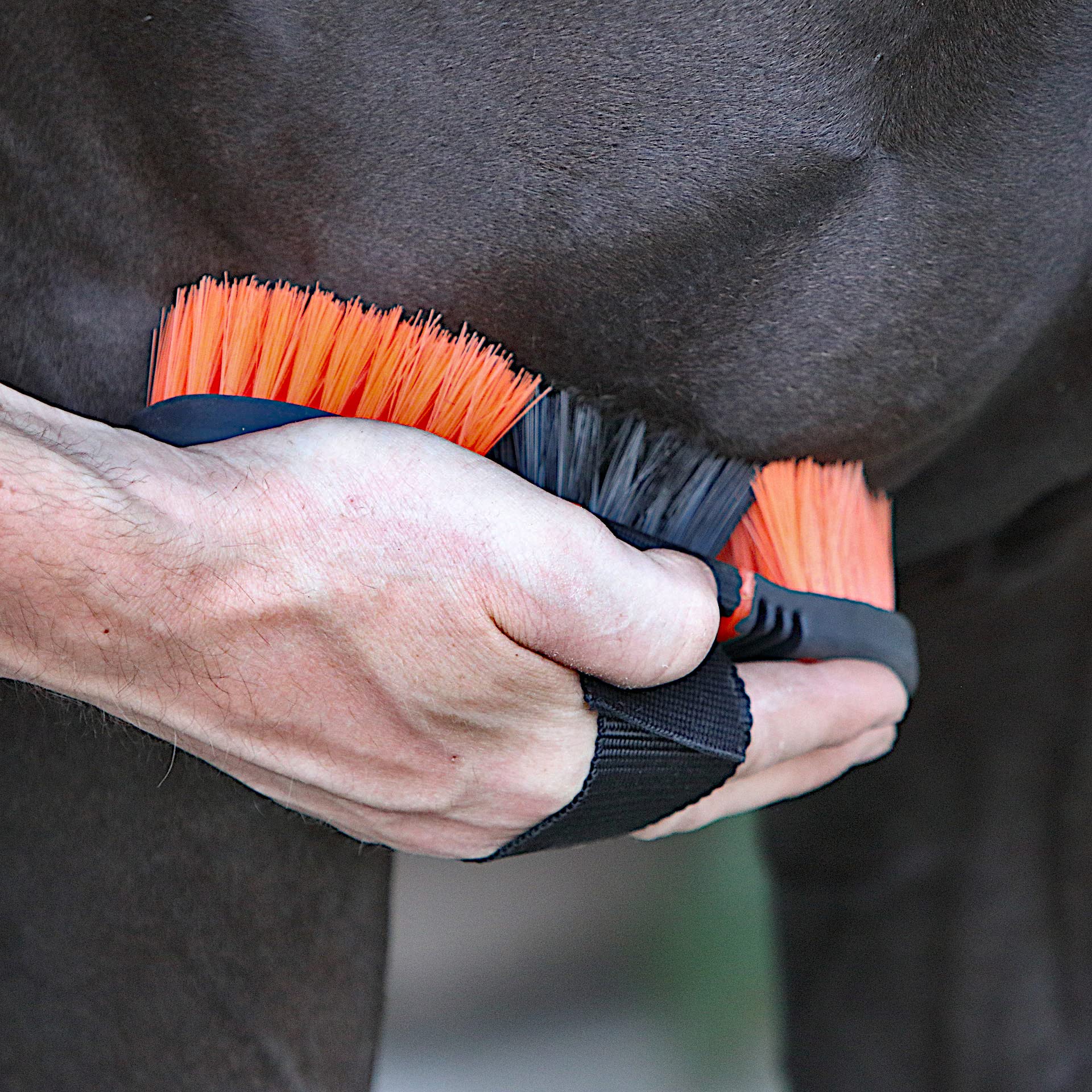 brosse pour chevaux – soin du pelage