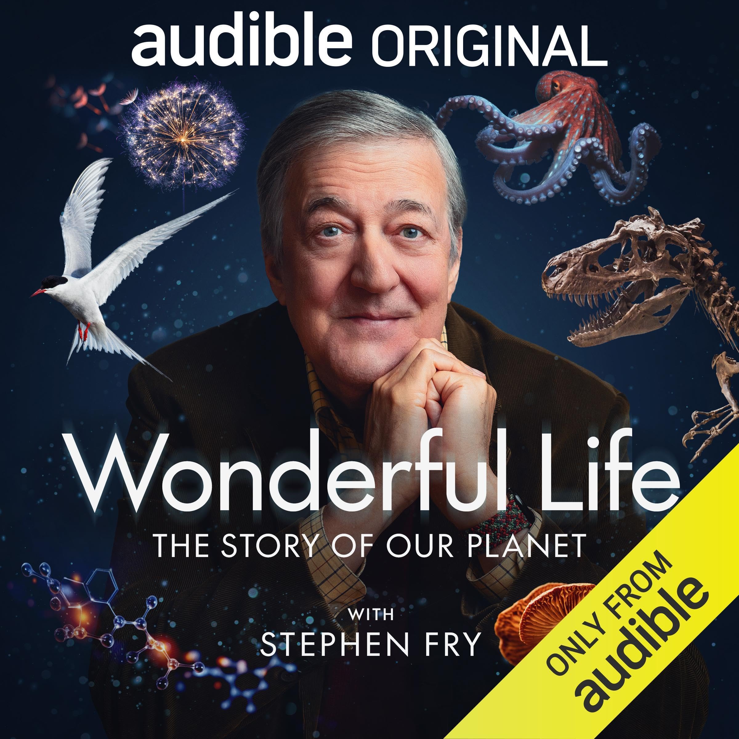 Cover art for Wonderful Life with Stephen Fry