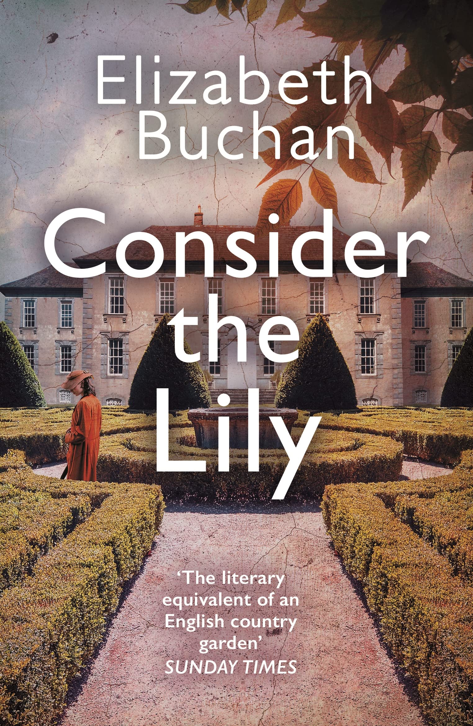 Consider the Lily.by Buchan  New 9781838955397 Fast Free Shipping**