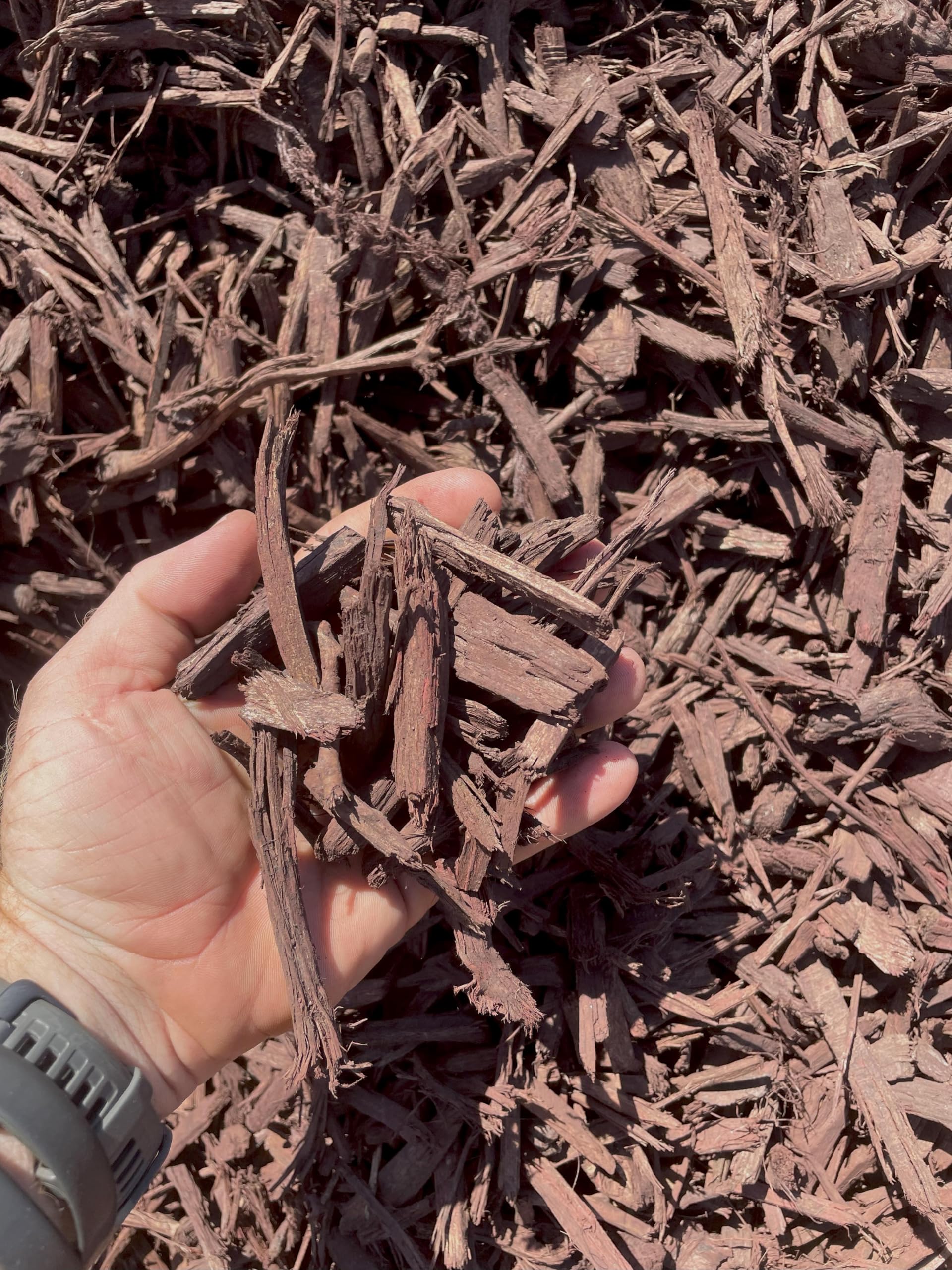 Amazon.com : Mahogany Brown Wood Chip Mulch, 42 Quarts, Non-Toxic