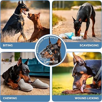 Metal Doberman Muzzle for Large Sized Dog - Cage Muzzles for Barking and Prevent Biting - Steel Wire Basket Muzzle for Medium and Large Dogs Doberman, Collie, Belgian Malinois, Husky etc.